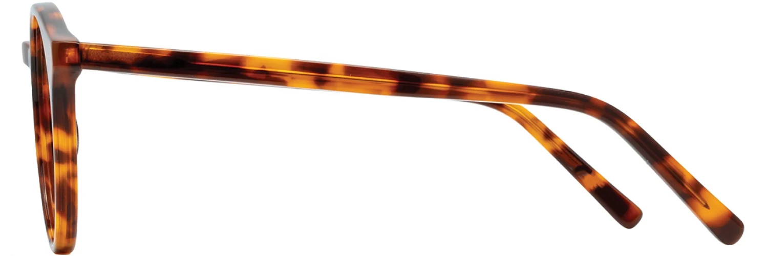 Adin Thomas ATS021 Eyeglasses - Image 5