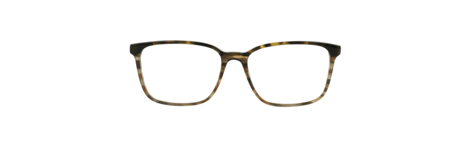 Argyleculture ARPERRY Eyeglasses - Image 4