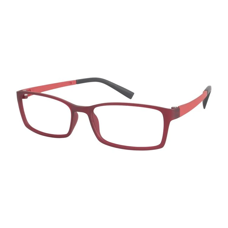 Aristar AR16404 Eyeglasses