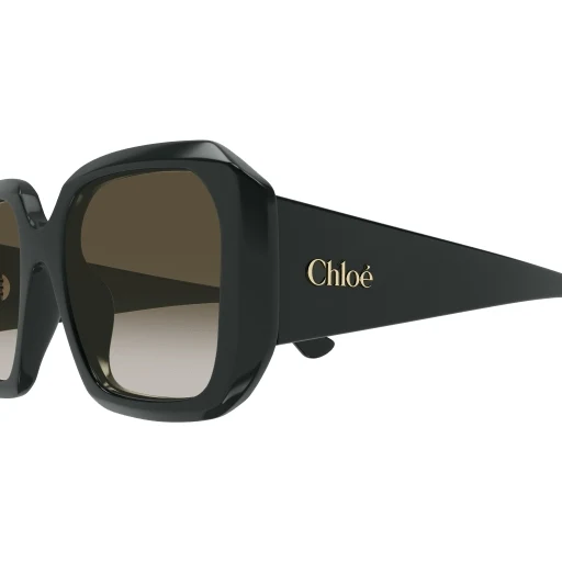 Chloe CH0300S Sunglasses - Image 5