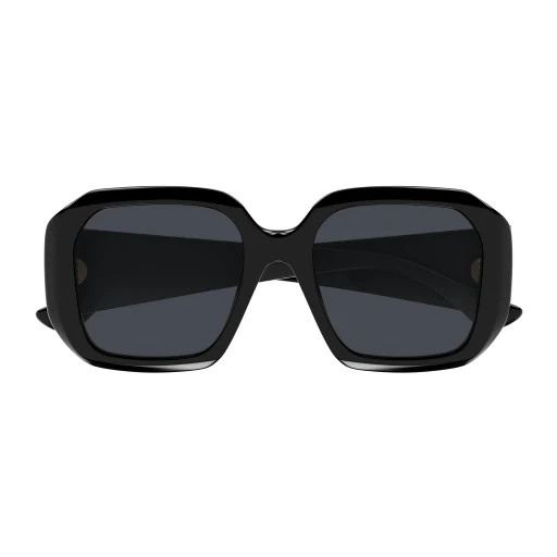 Chloe CH0300S Sunglasses - Image 7