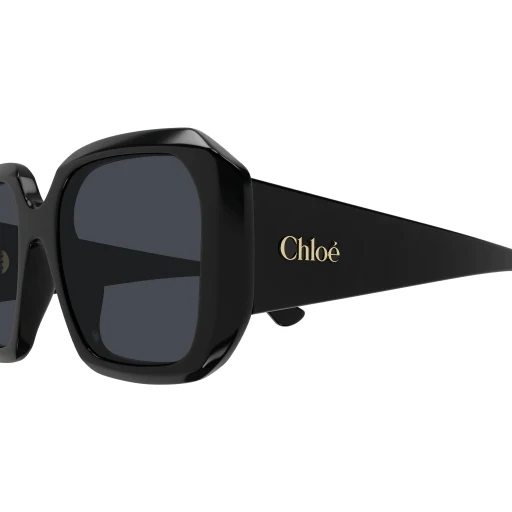 Chloe CH0300S Sunglasses - Image 8