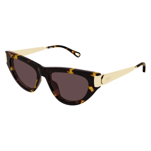 Chloe CH0350S Sunglasses - Image 3