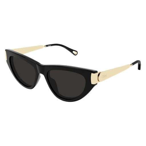 Chloe CH0350S Sunglasses - Image 6