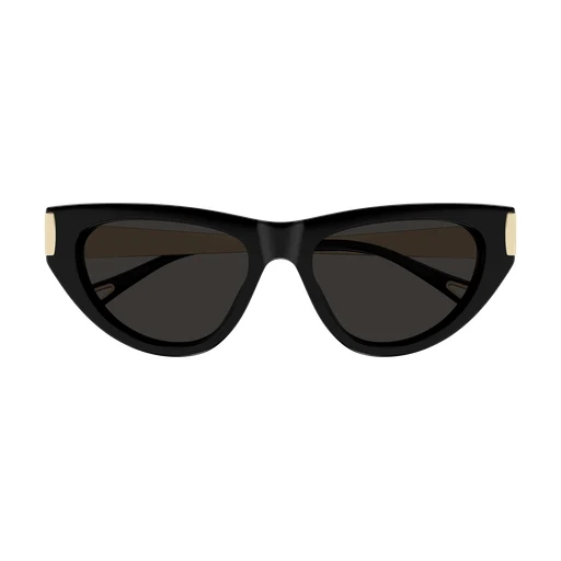 Chloe CH0350S Sunglasses - Image 7