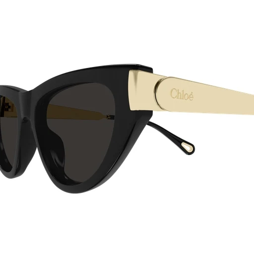 Chloe CH0350S Sunglasses - Image 8
