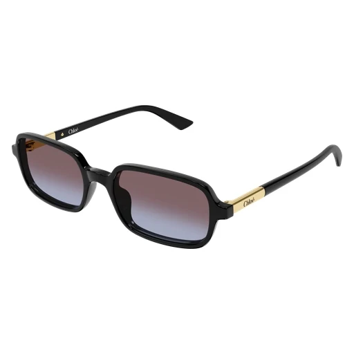 Chloe CH0363S Sunglasses - Image 6