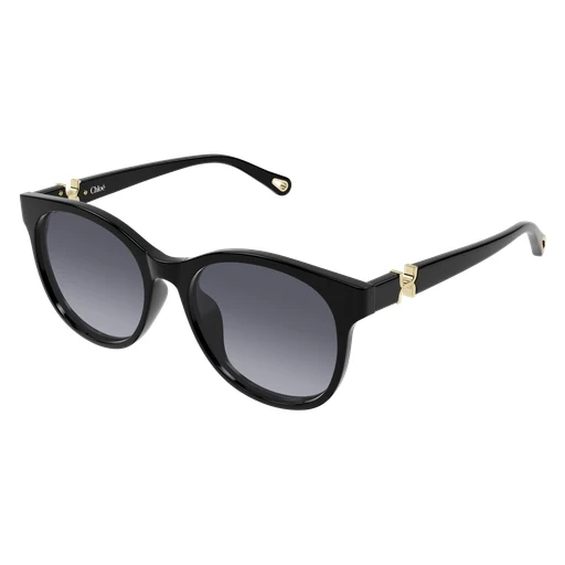Chloe CH0375SK Sunglasses - Image 4