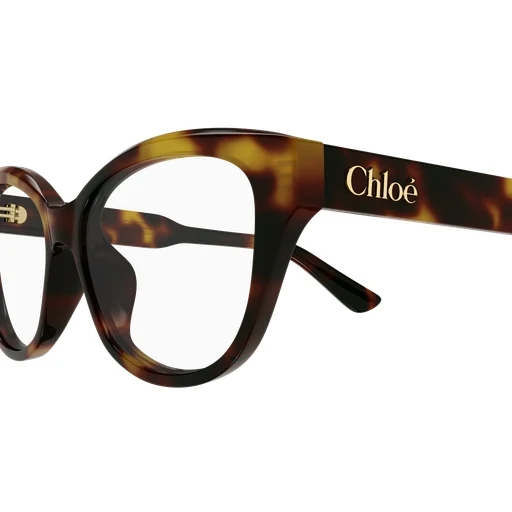Chloe CH0381OL Eyeglasses - Image 22