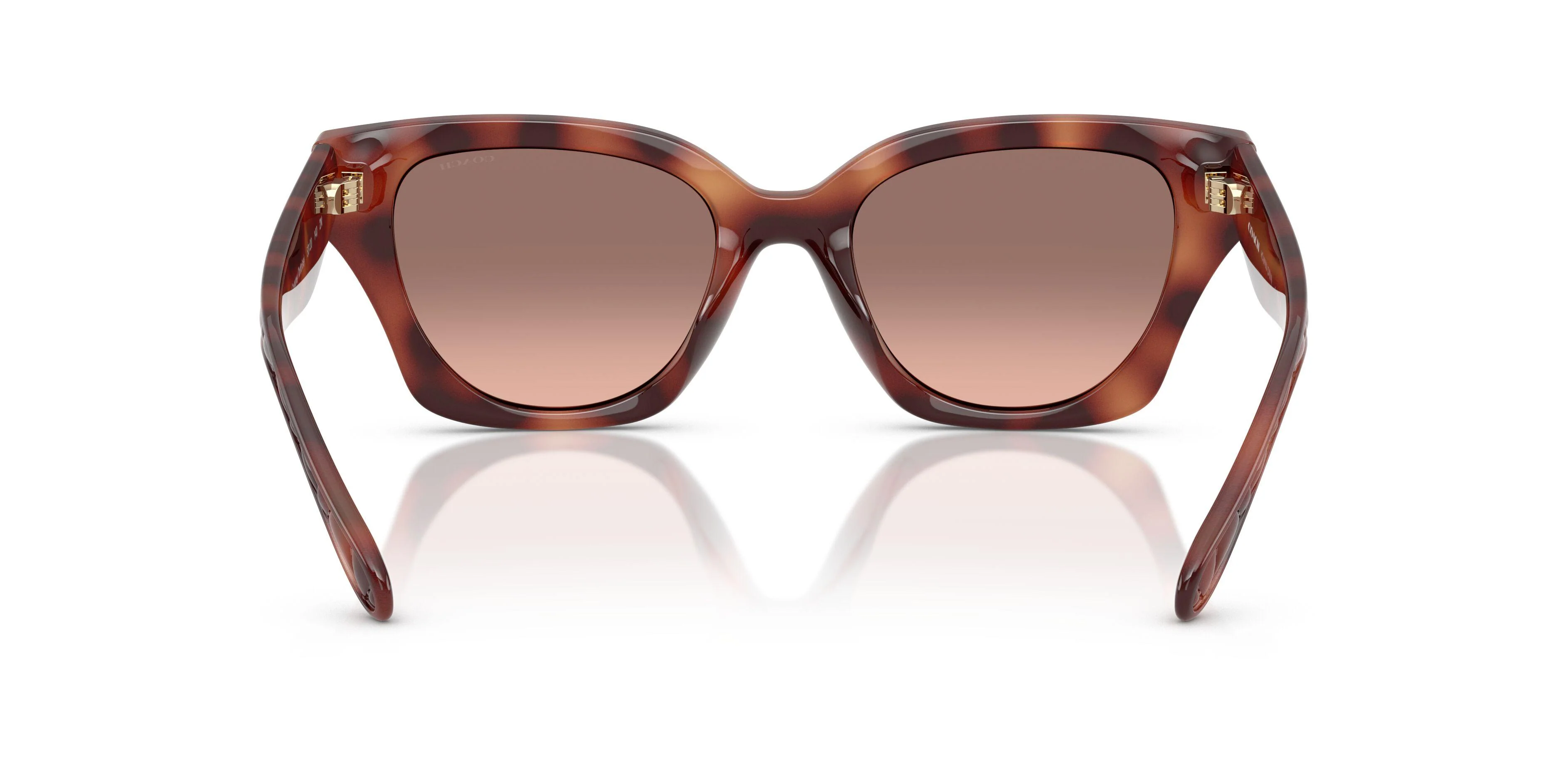 Coach Cad18 8418U Sunglasses - Image 18