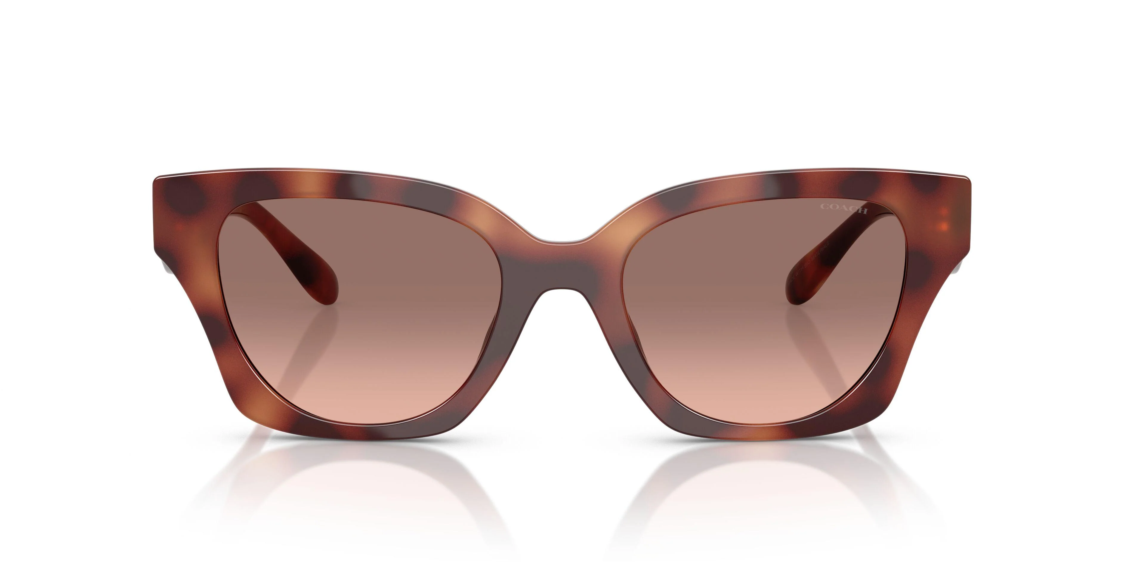 Coach Cad18 8418U Sunglasses - Image 19