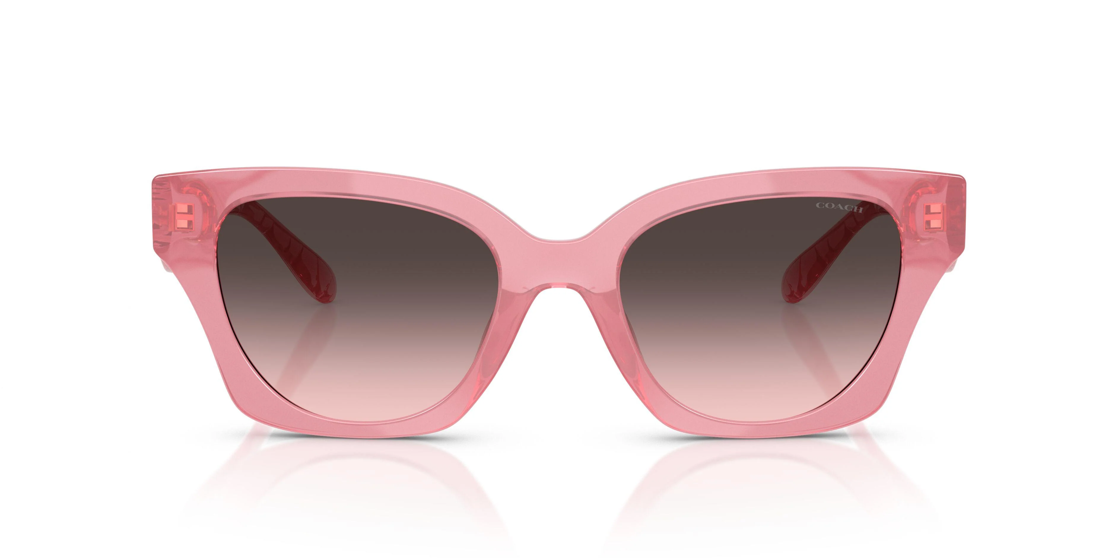 Coach Cad18 8418U Sunglasses - Image 24