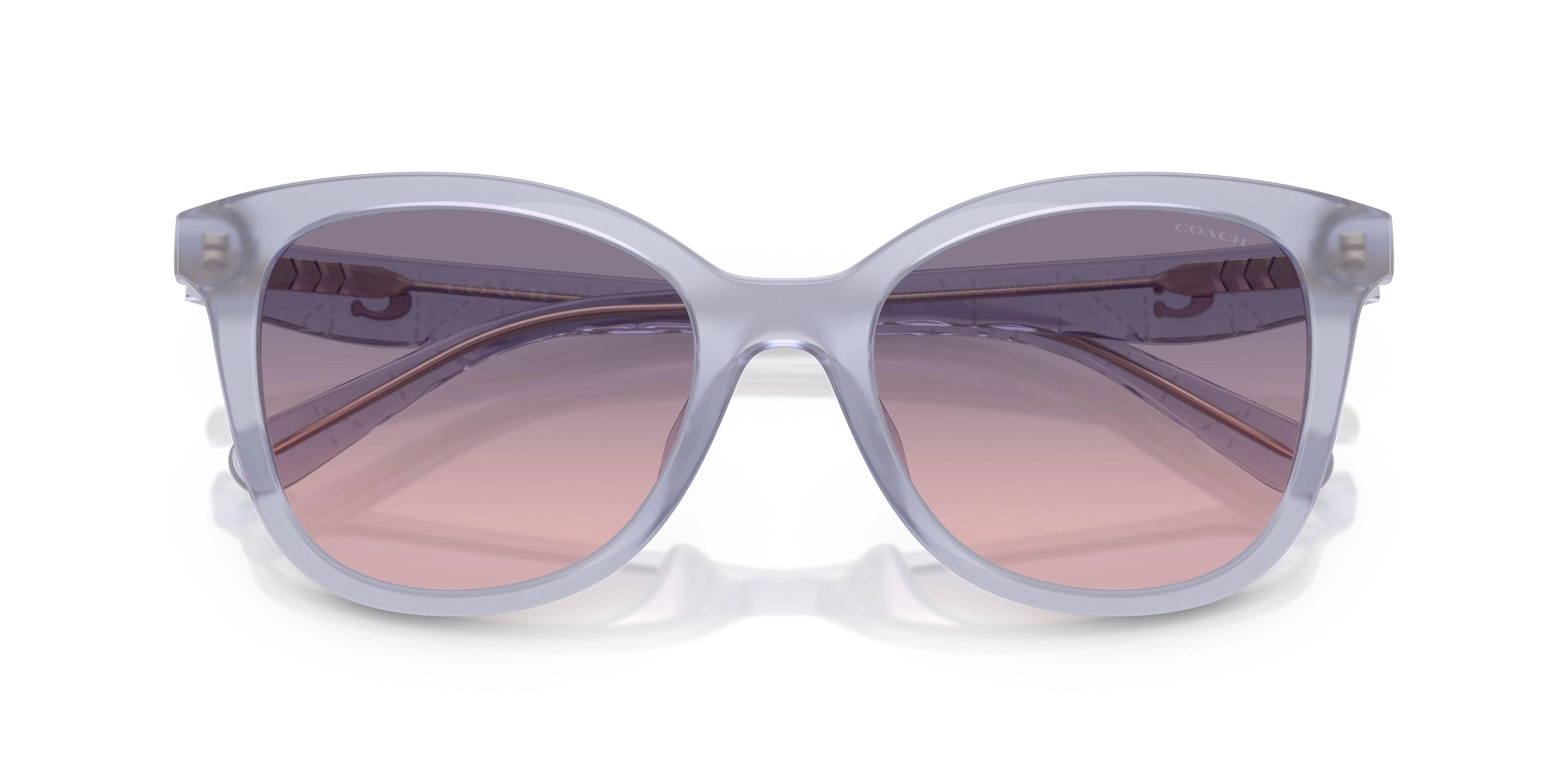 Coach Cad25 8419U Sunglasses - Image 10