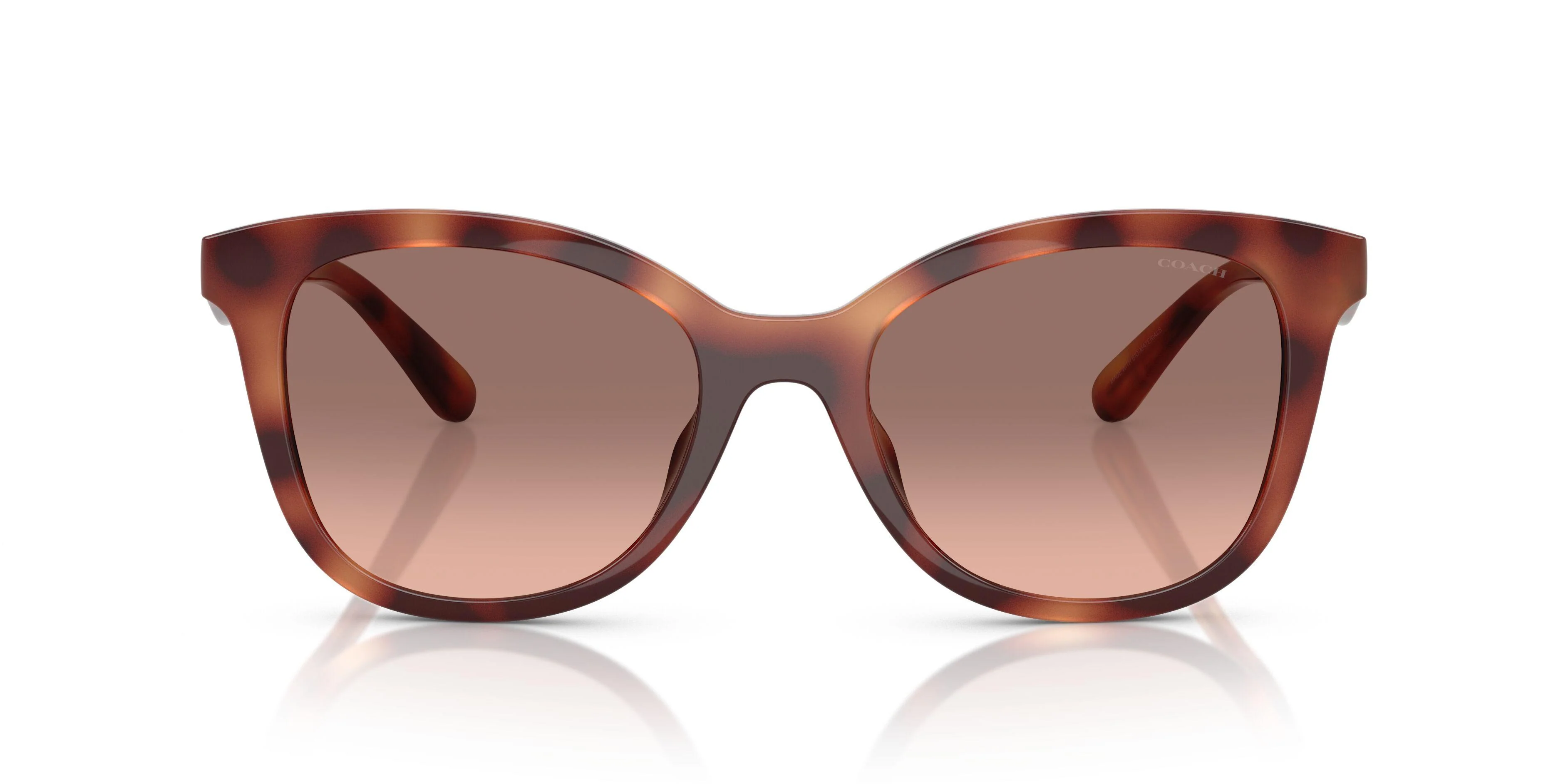 Coach Cad25 8419U Sunglasses - Image 14
