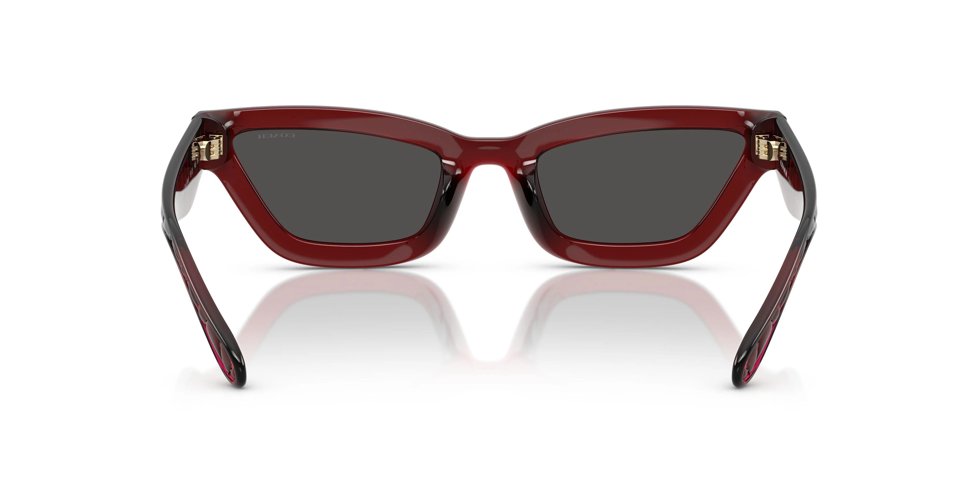 Coach Cad28 8420U Sunglasses - Image 5