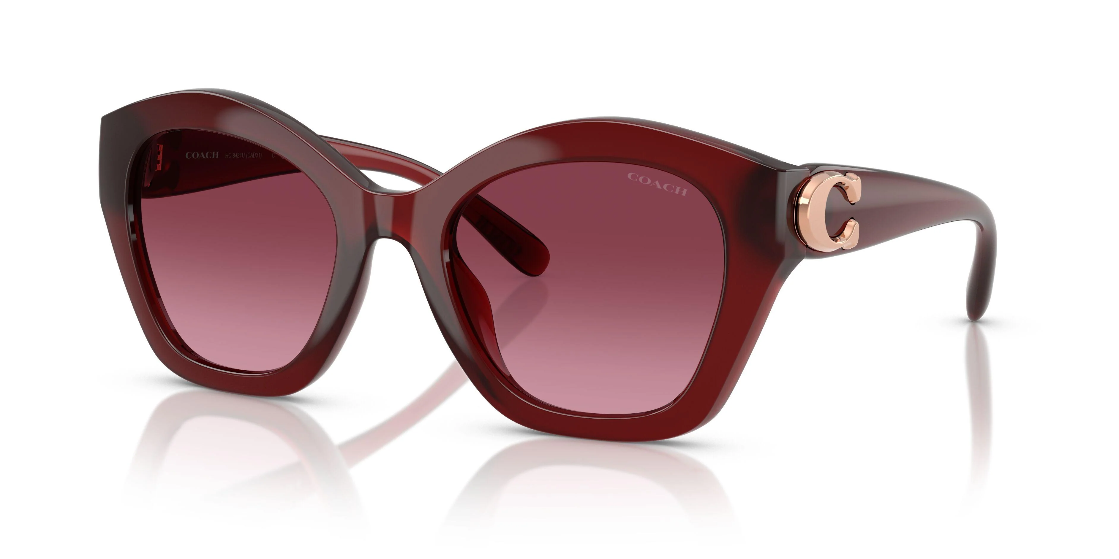 Coach Cad32 8421U Sunglasses - Image 12