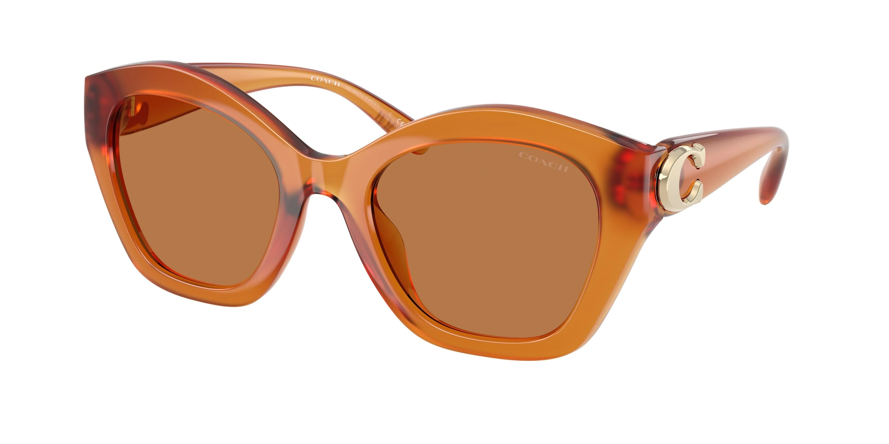 Coach Cad32 8421U Sunglasses - Image 4