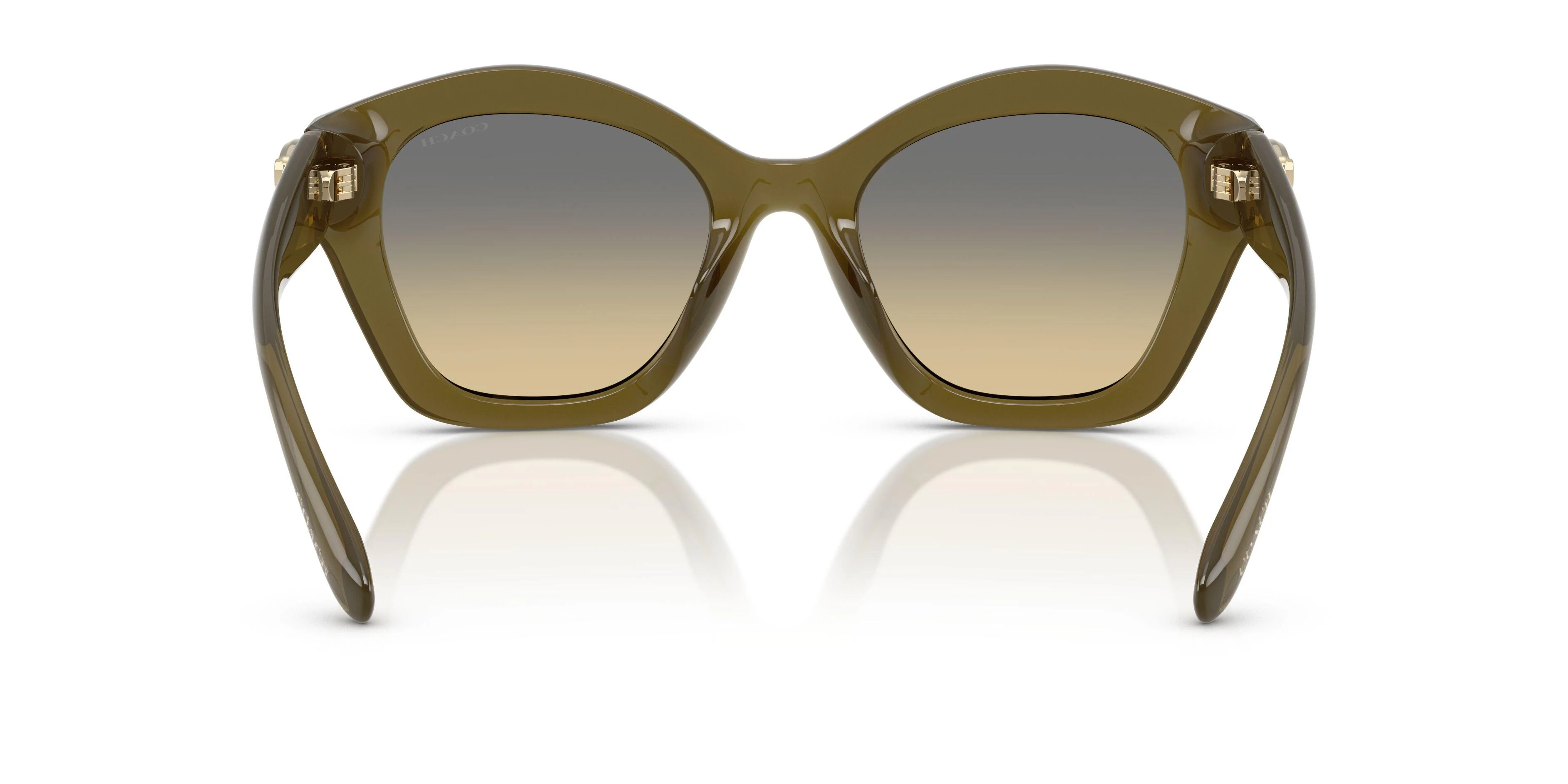 Coach Cad32 8421U Sunglasses - Image 9
