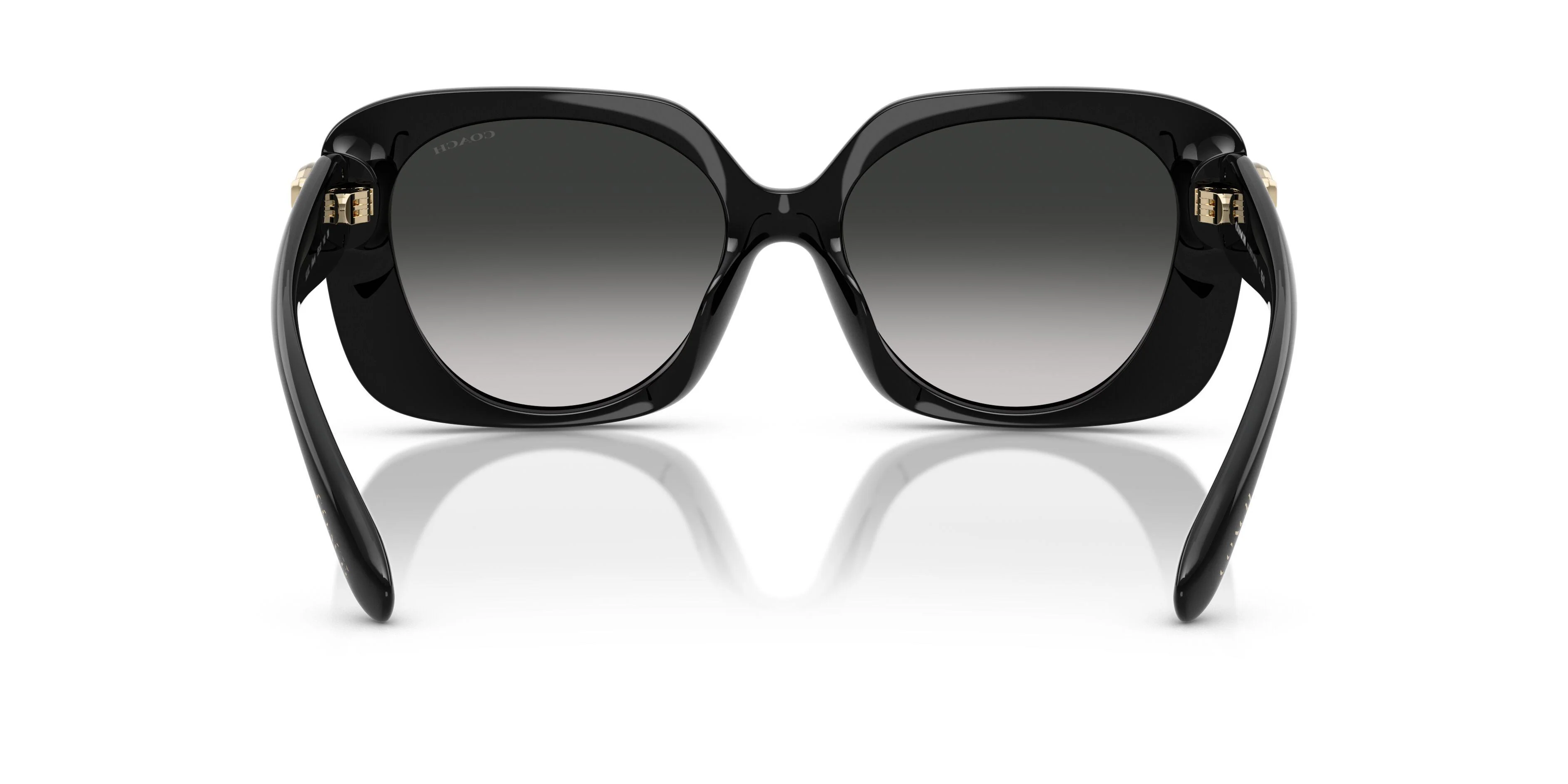 Coach Cad33 8422U Sunglasses - Image 28