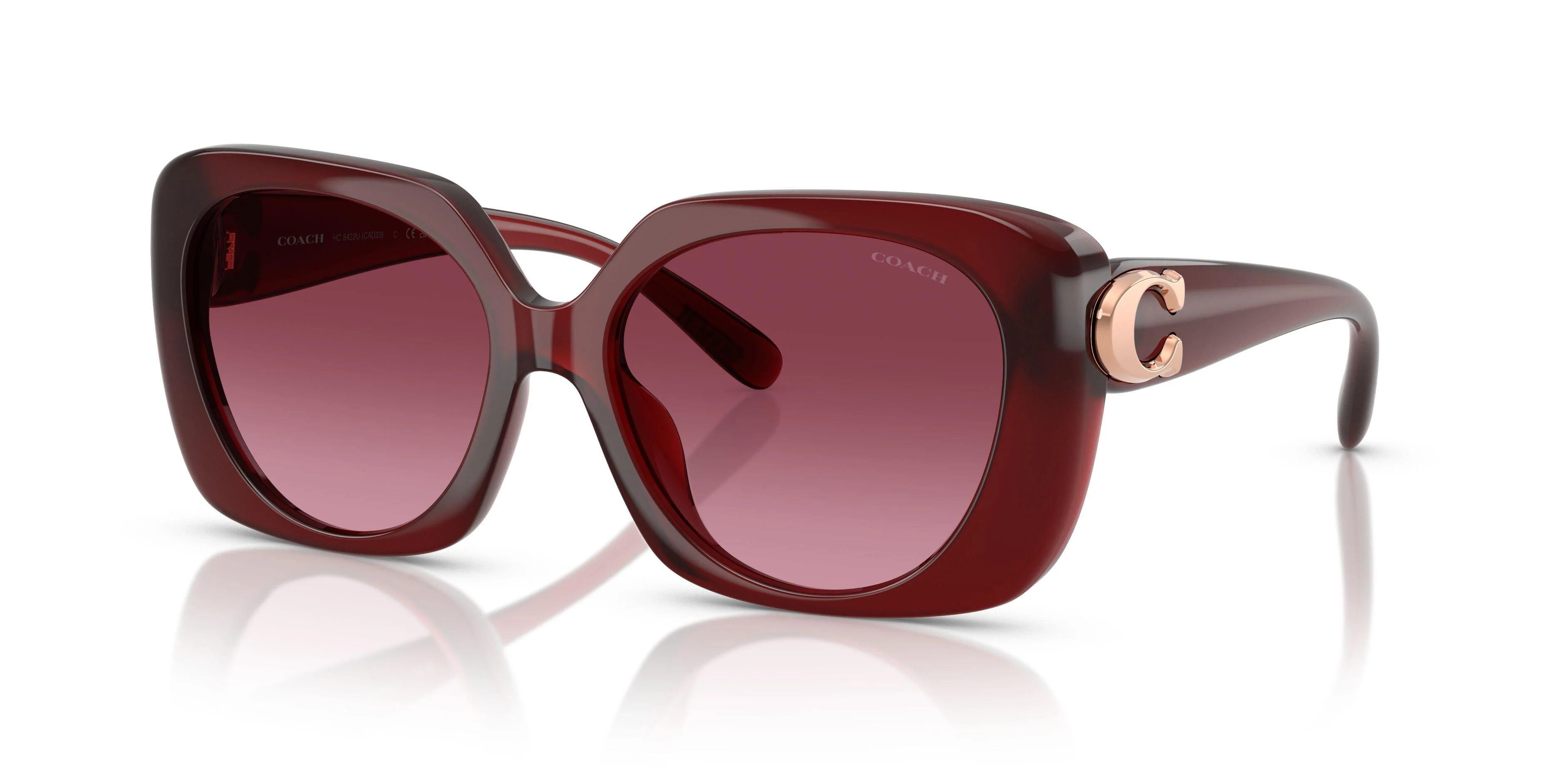 Coach Cad33 8422U Sunglasses - Image 6