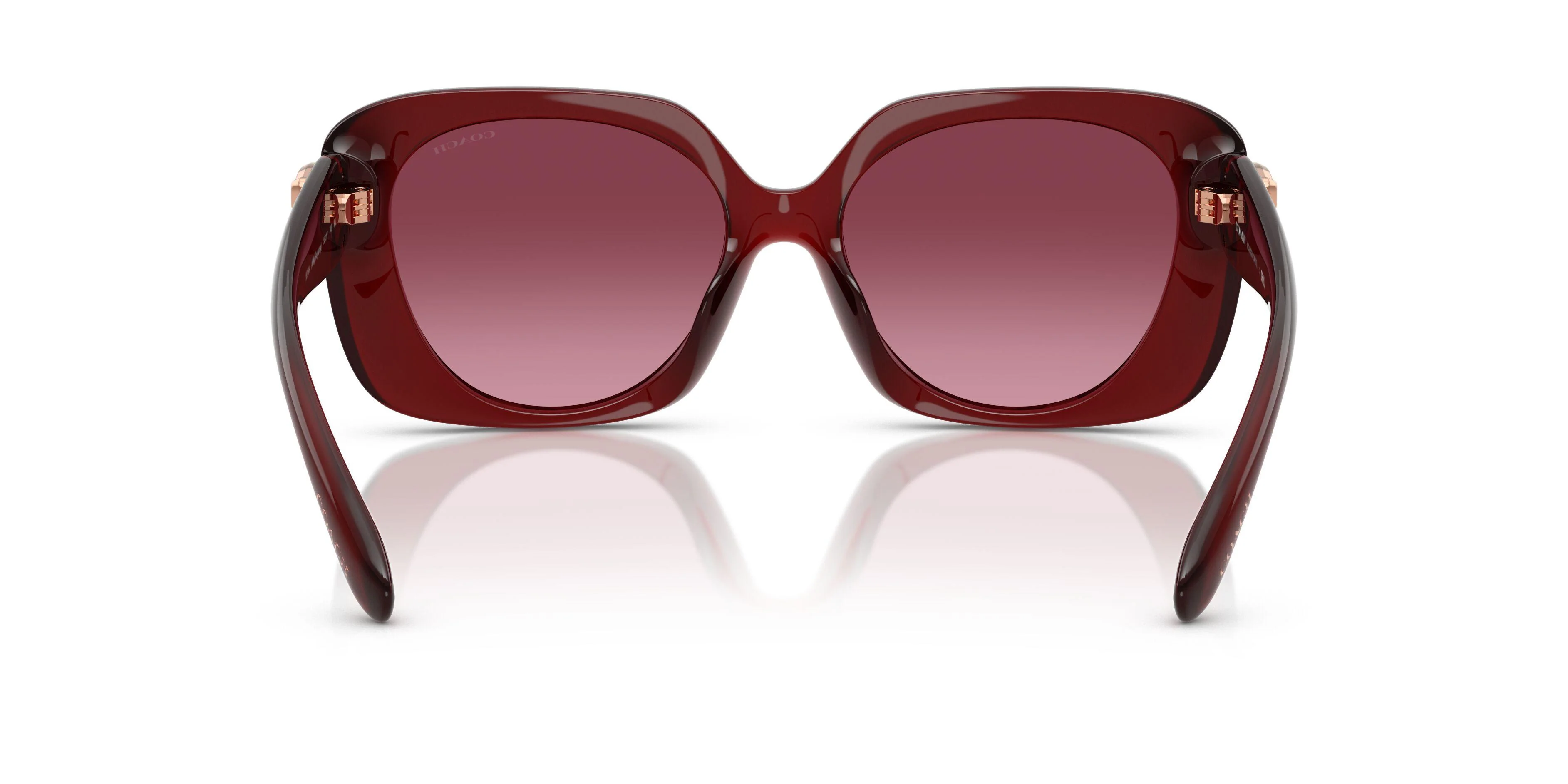 Coach Cad33 8422U Sunglasses - Image 8