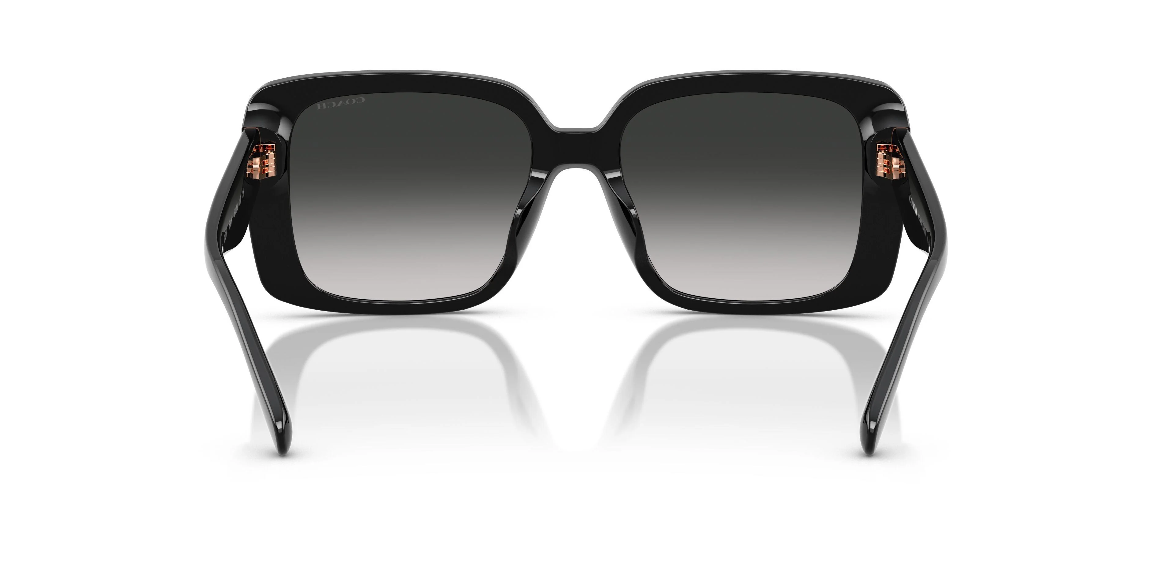 Coach Cad54 8424U Sunglasses - Image 17