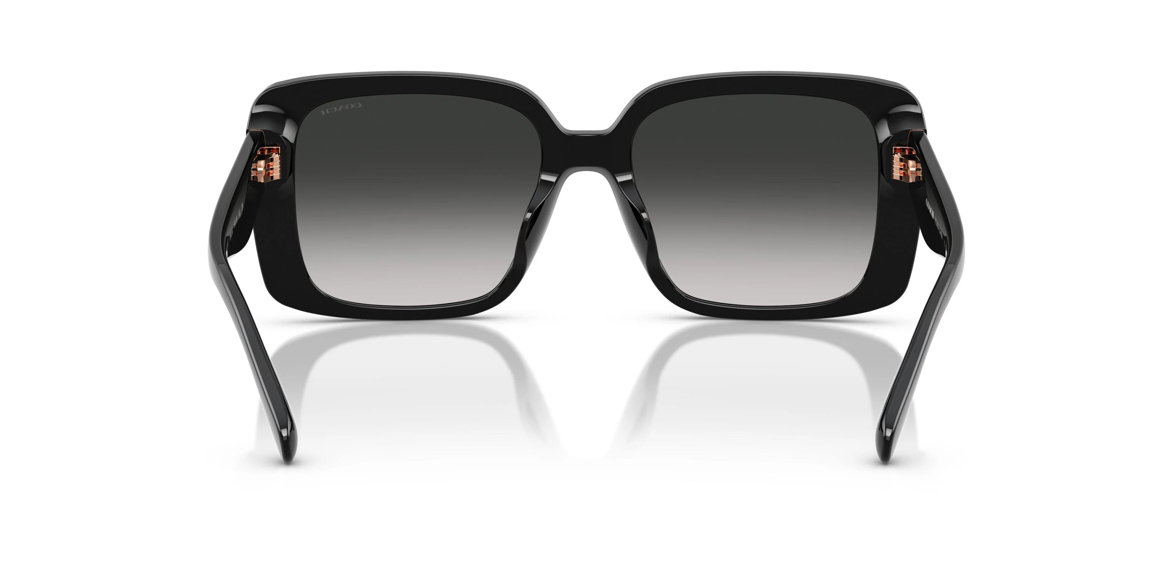 Coach Cad55 8424F Sunglasses - Image 22