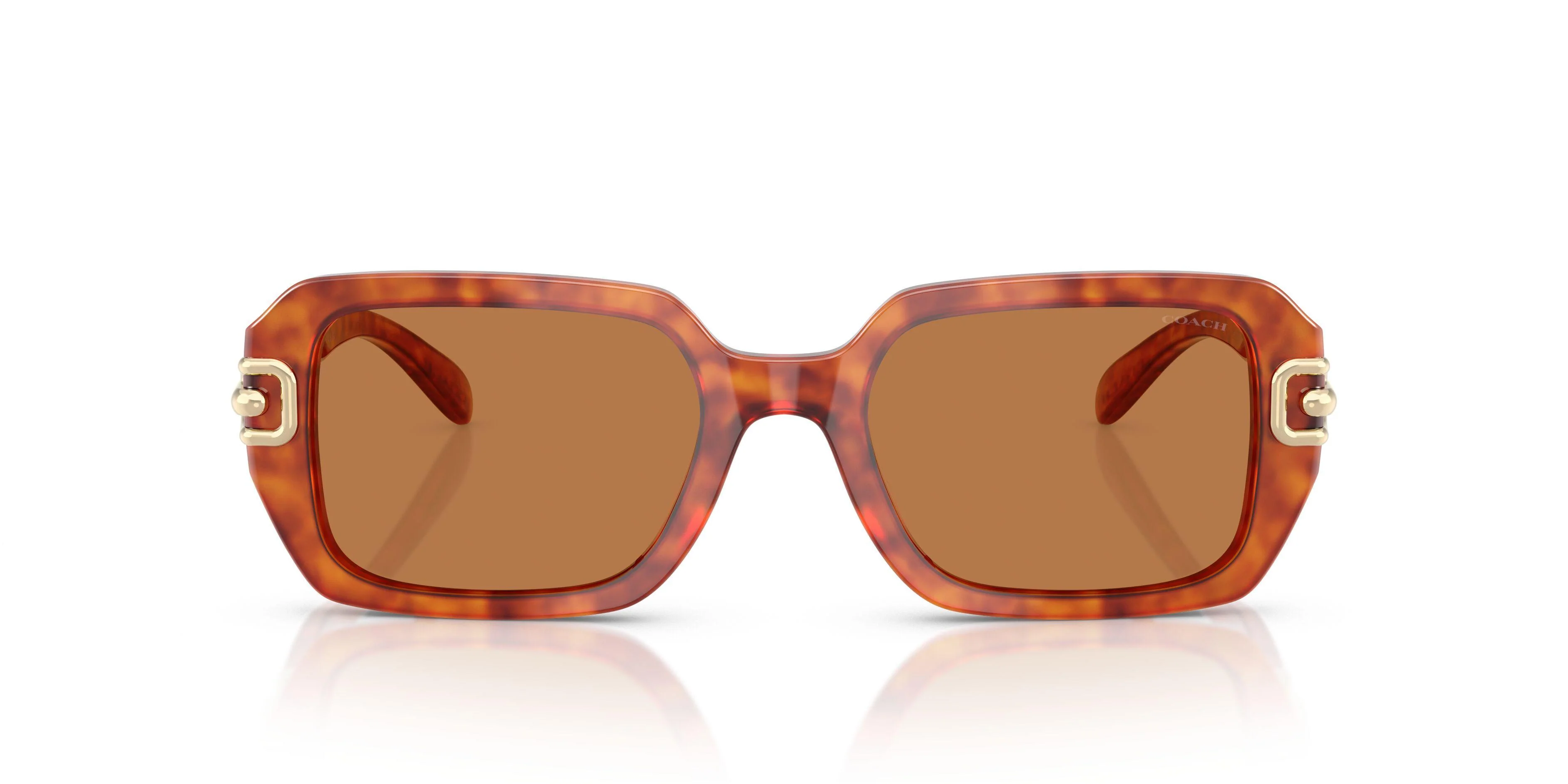 Coach Cad74 8425U Sunglasses - Image 6