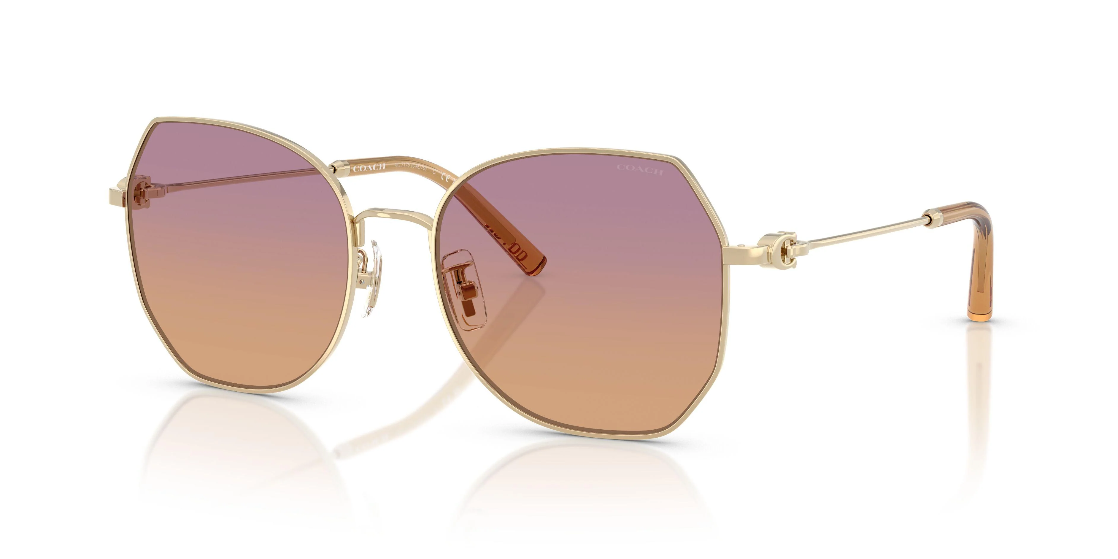 Coach Cad79 7175 Sunglasses - Image 15