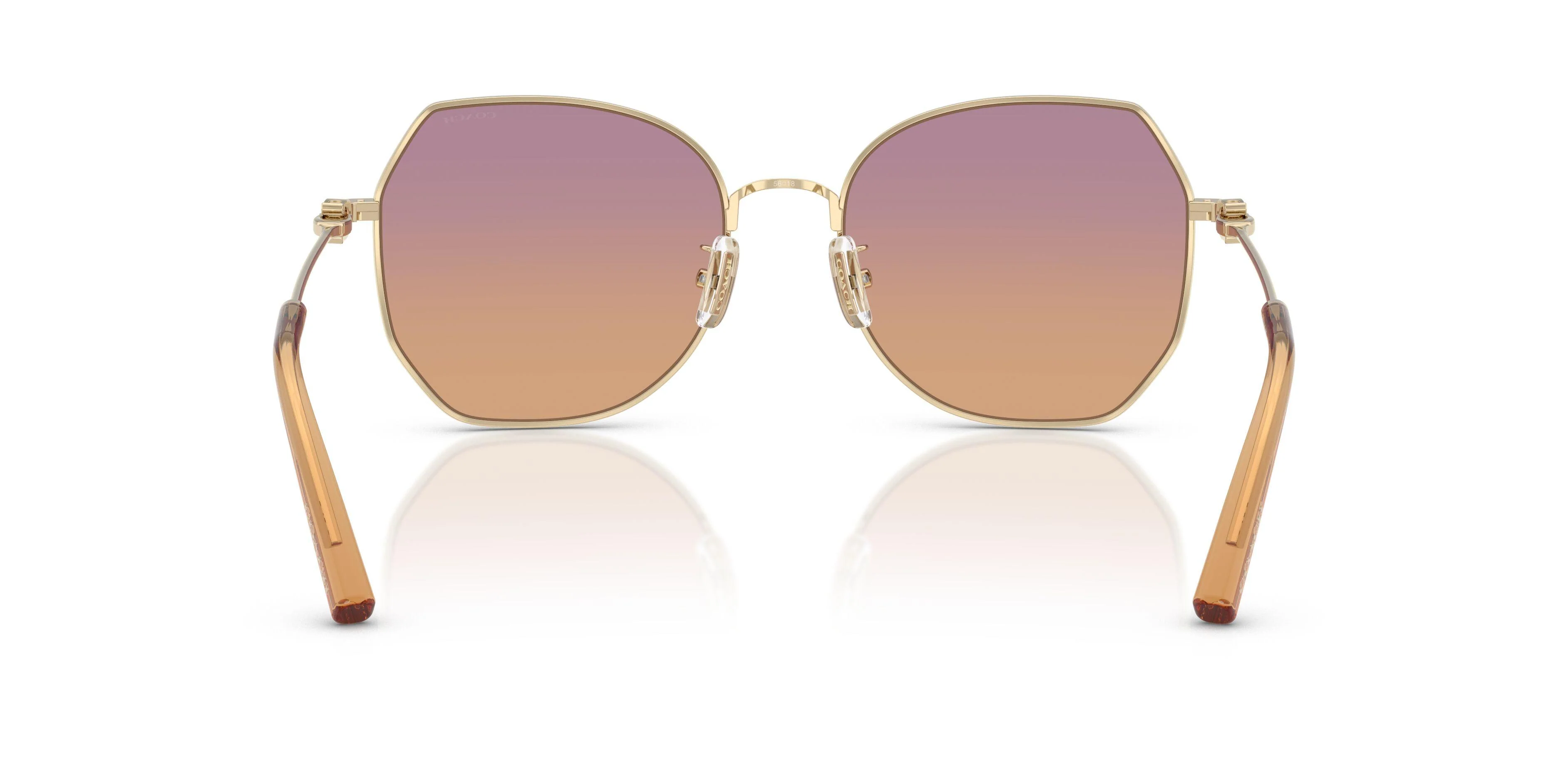 Coach Cad79 7175 Sunglasses - Image 17