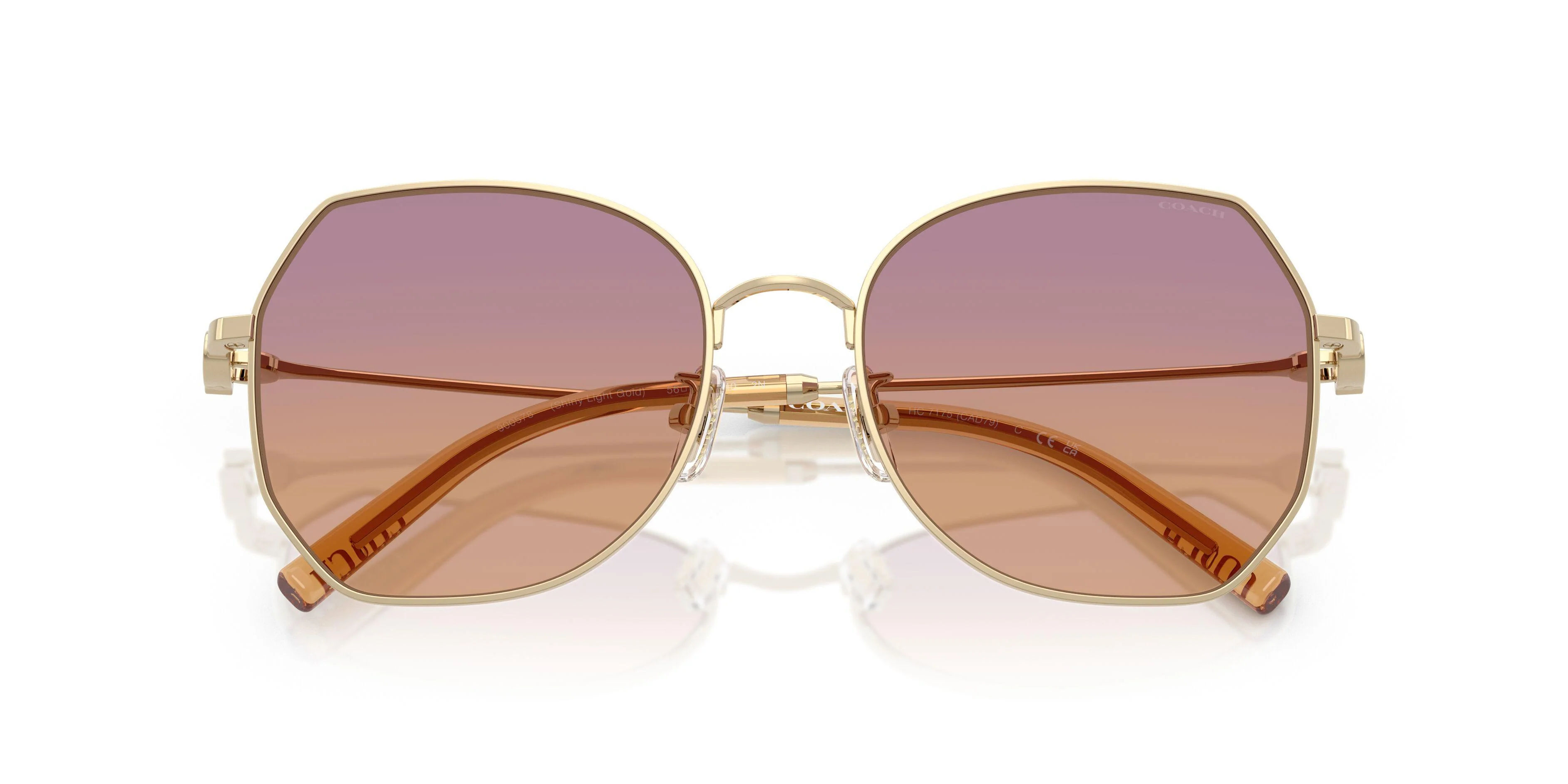 Coach Cad79 7175 Sunglasses - Image 19