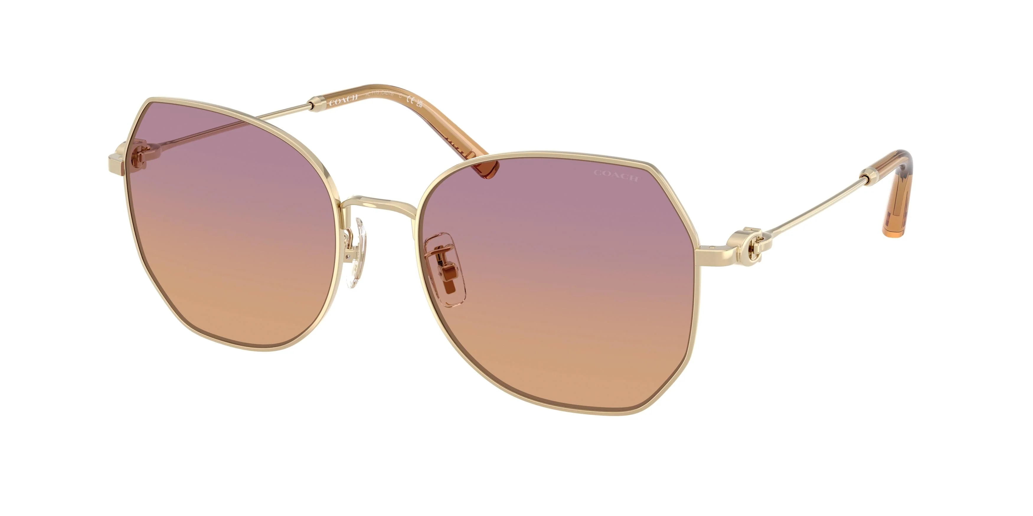 Coach Cad79 7175 Sunglasses - Image 3