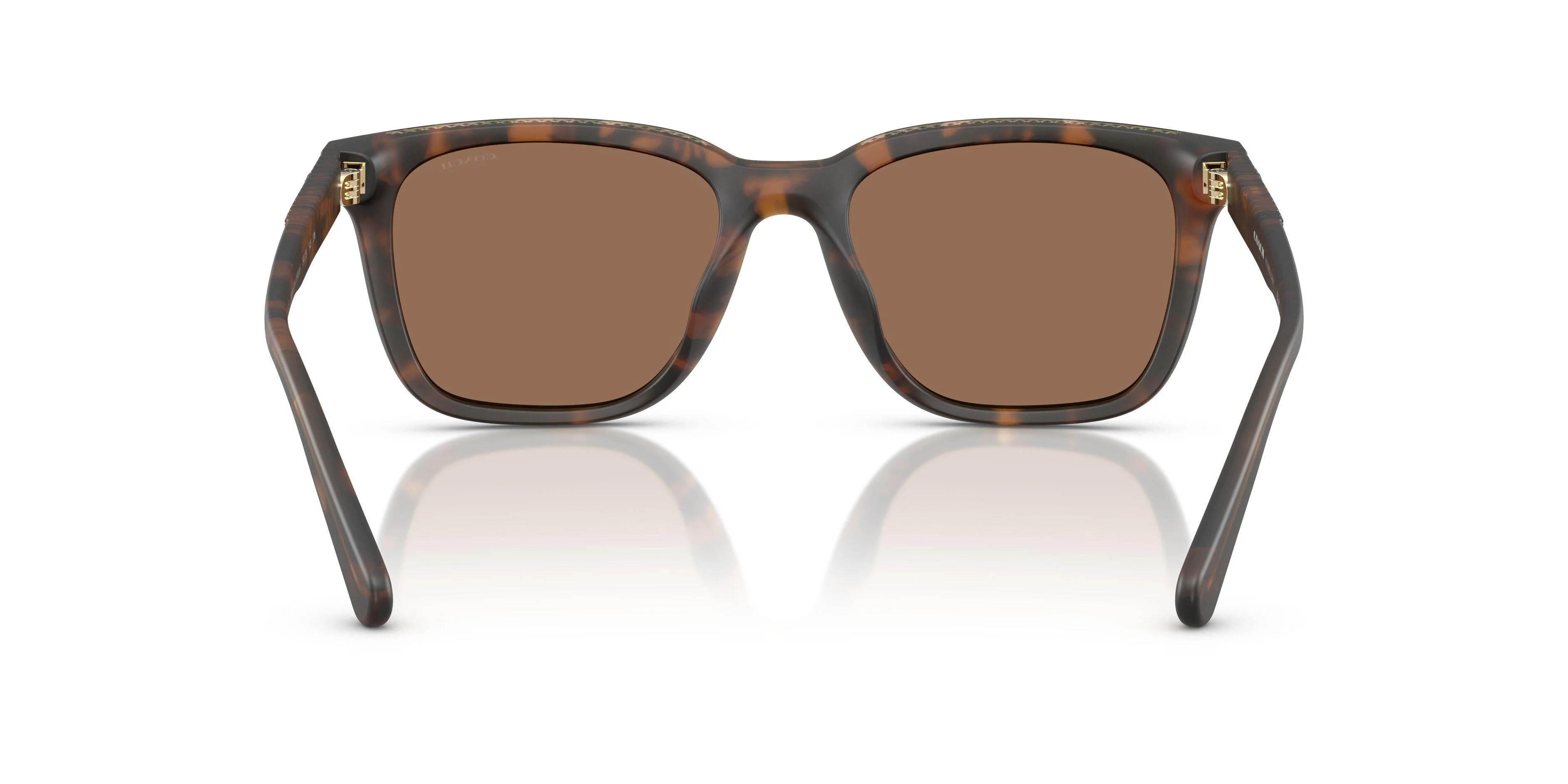 Coach Cad81 8426U Sunglasses - Image 28
