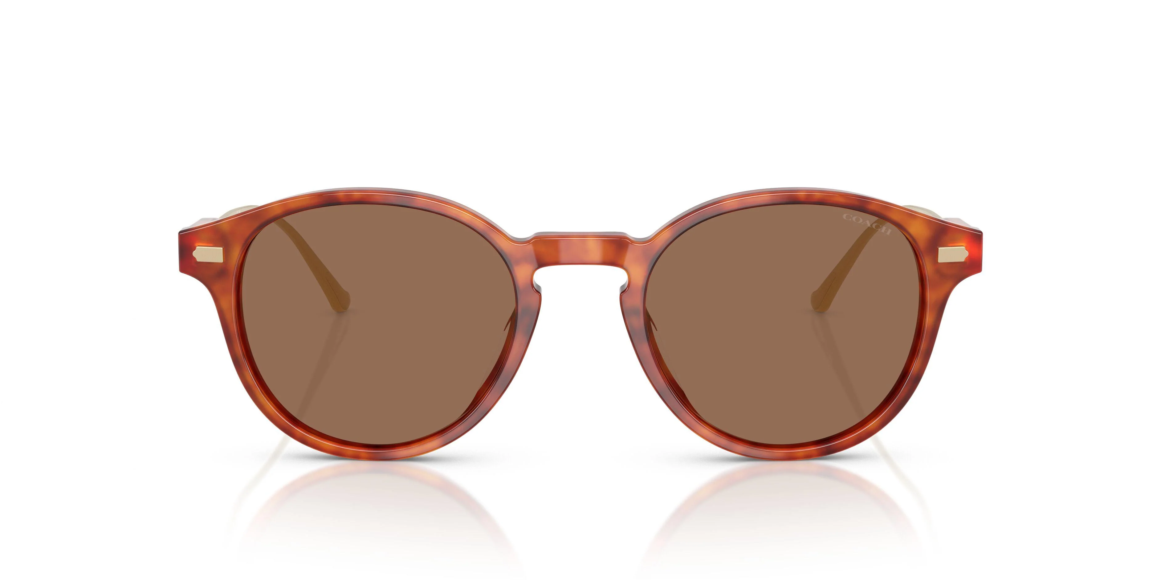 Coach Cad83 8428U Sunglasses - Image 18
