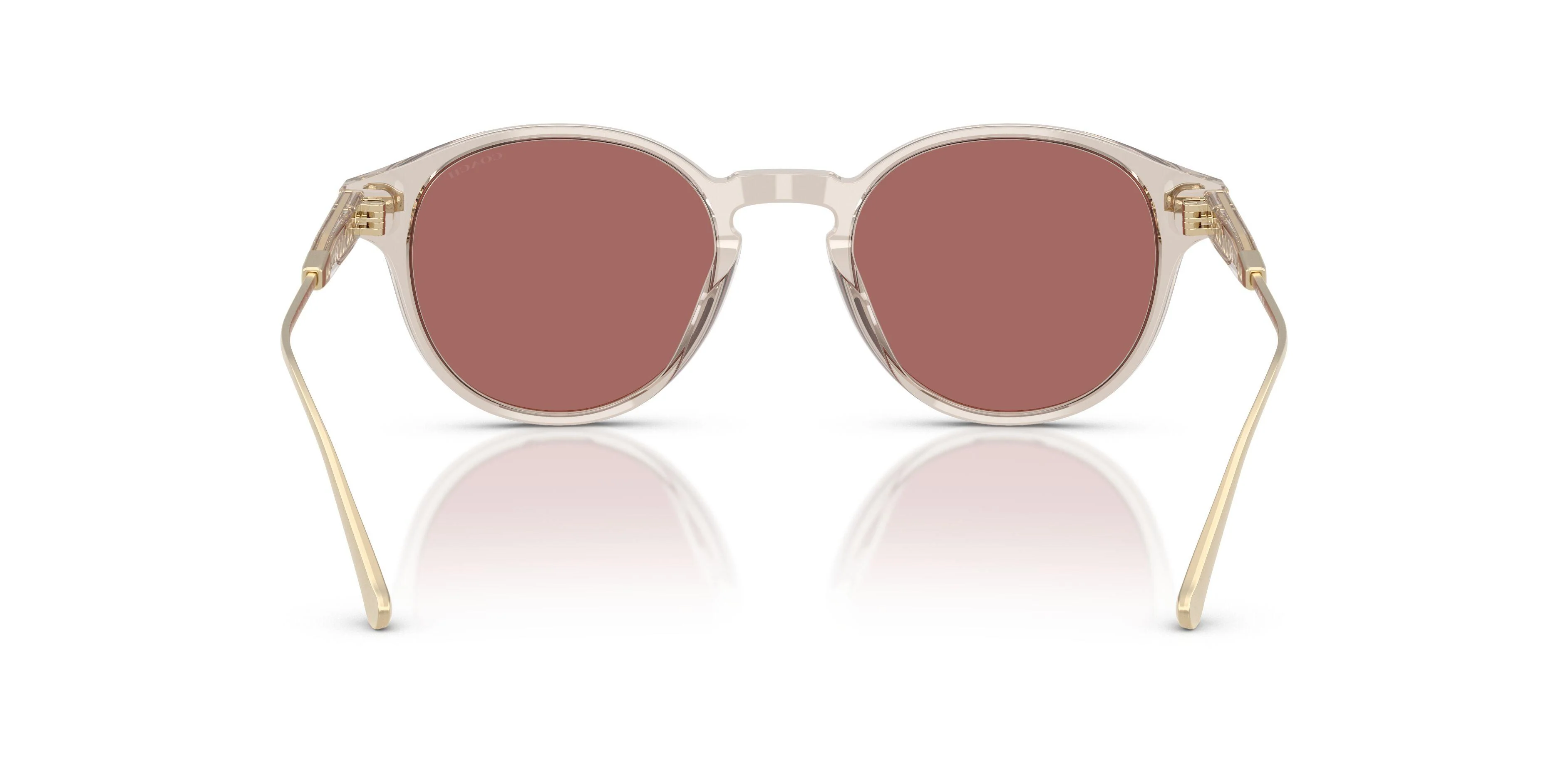 Coach Cad83 8428U Sunglasses - Image 7