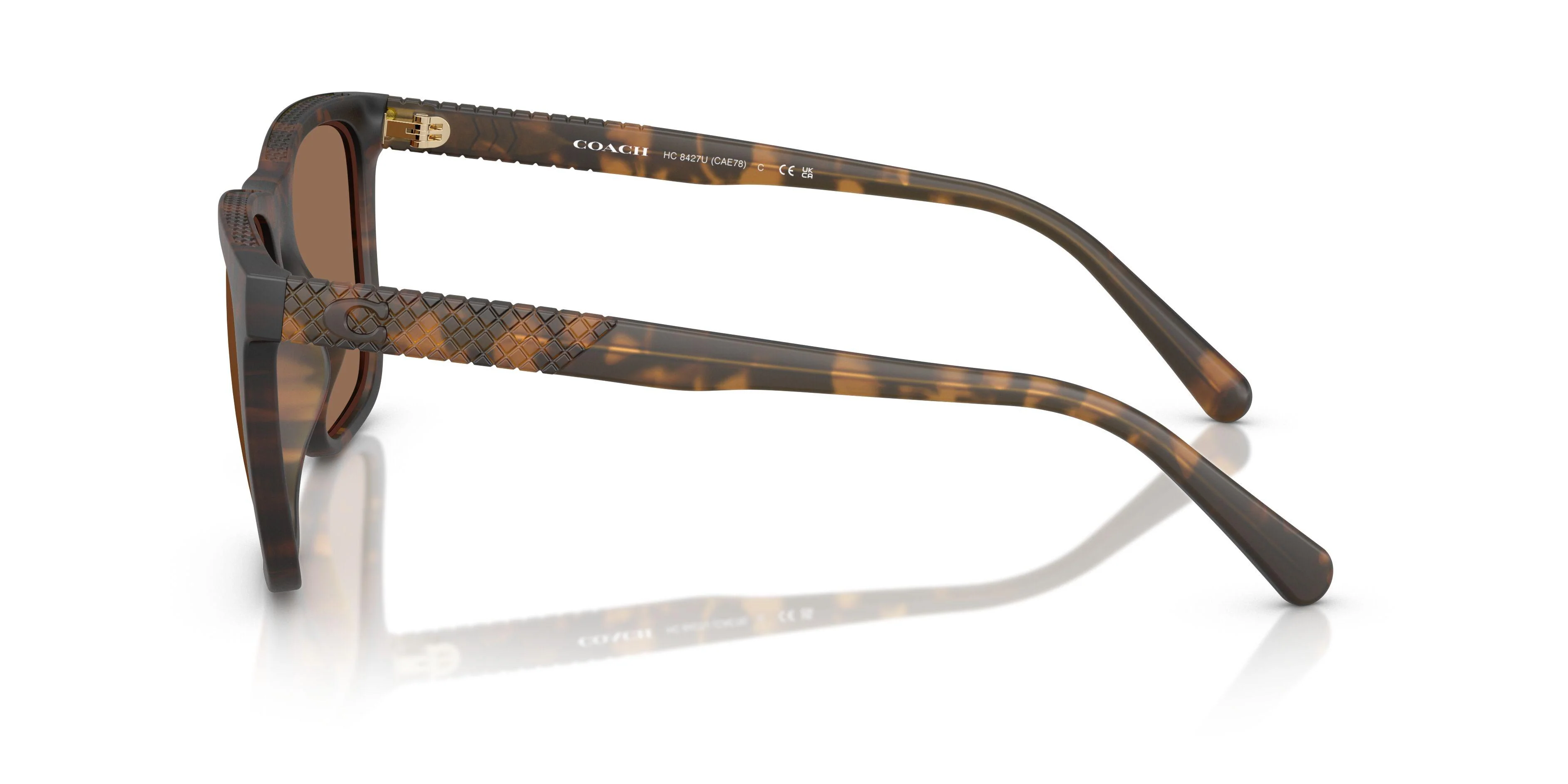 Coach Cae78 8427U Sunglasses - Image 11