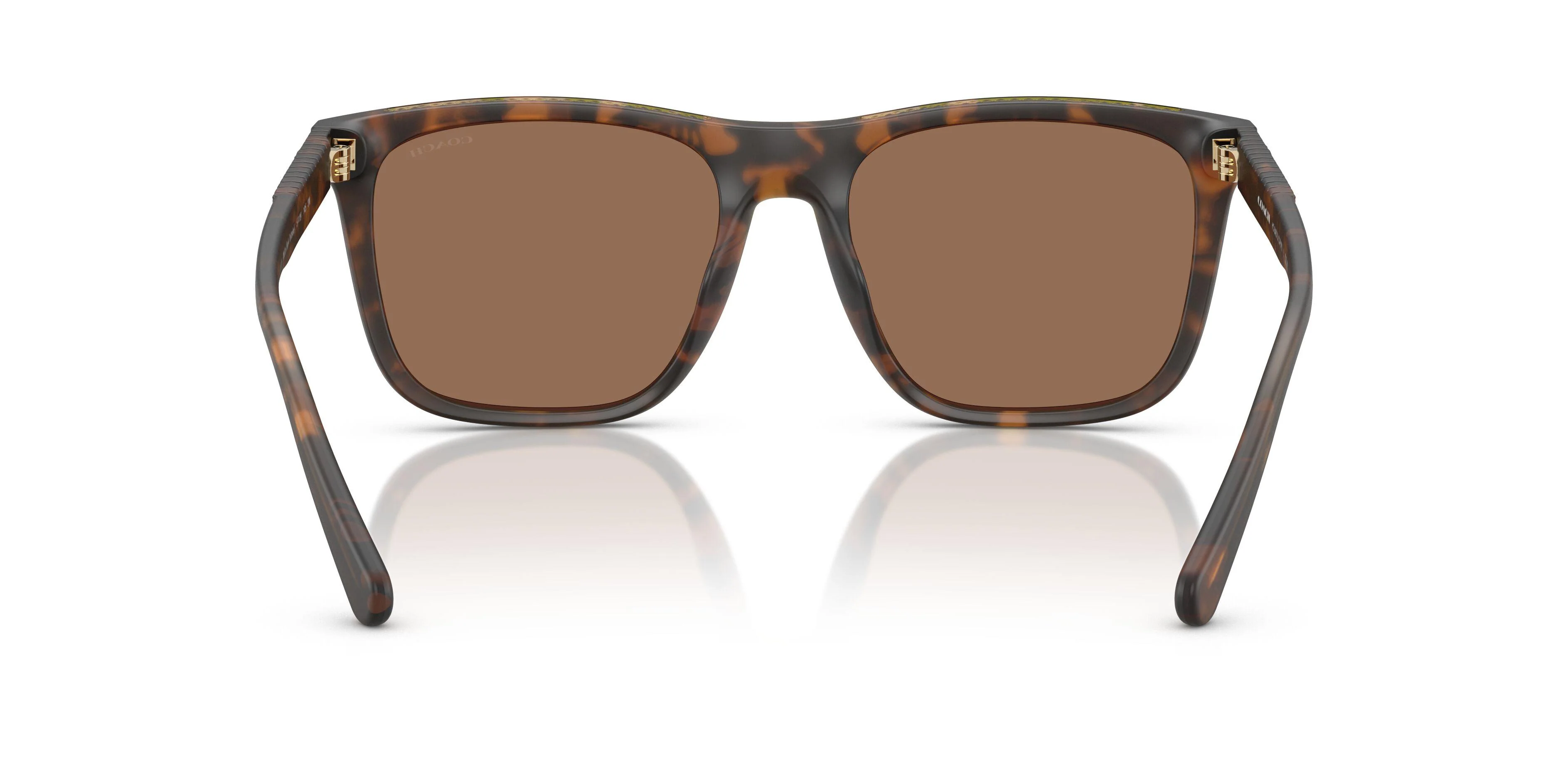Coach Cae78 8427U Sunglasses - Image 12
