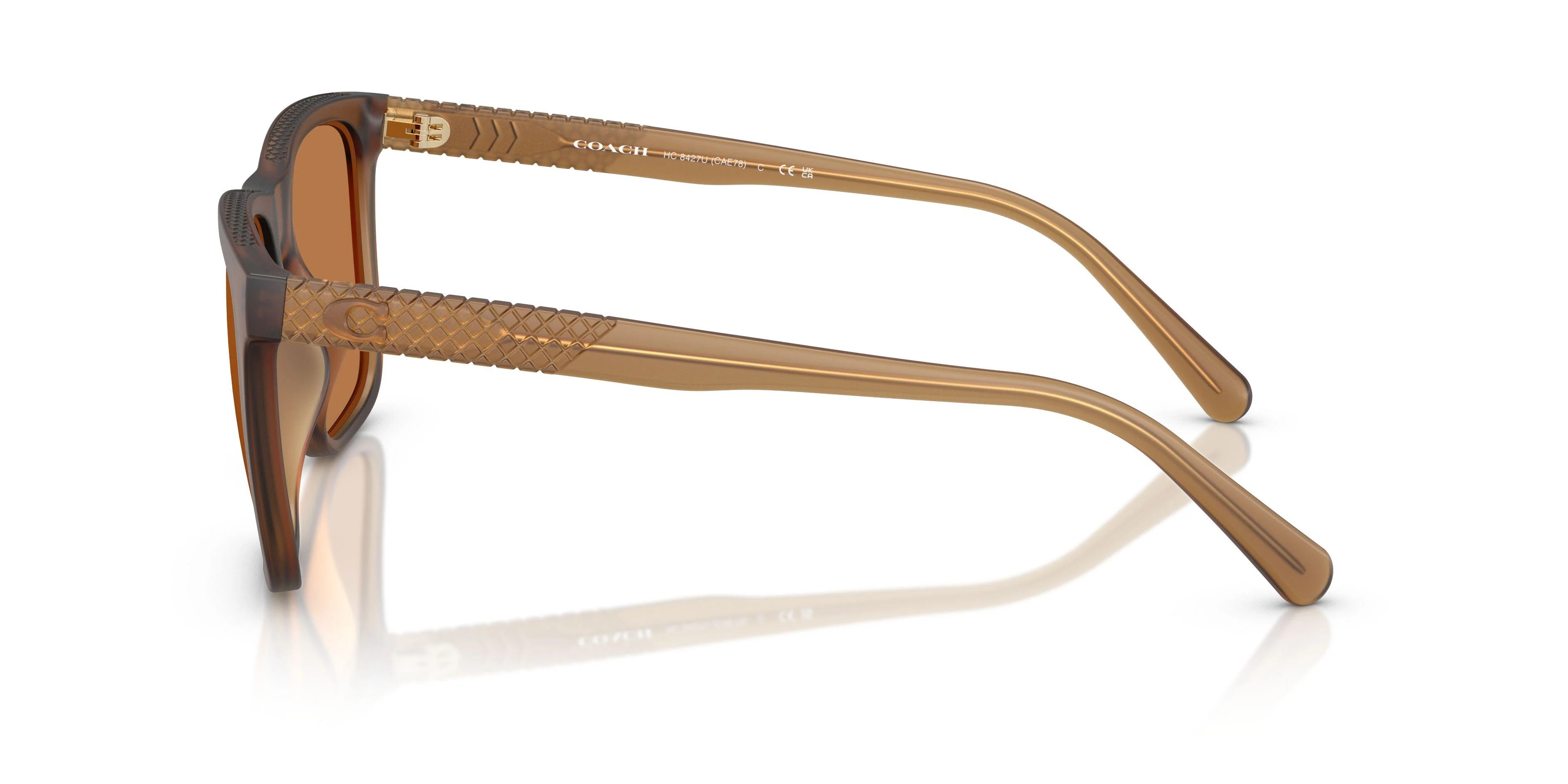 Coach Cae78 8427U Sunglasses - Image 6
