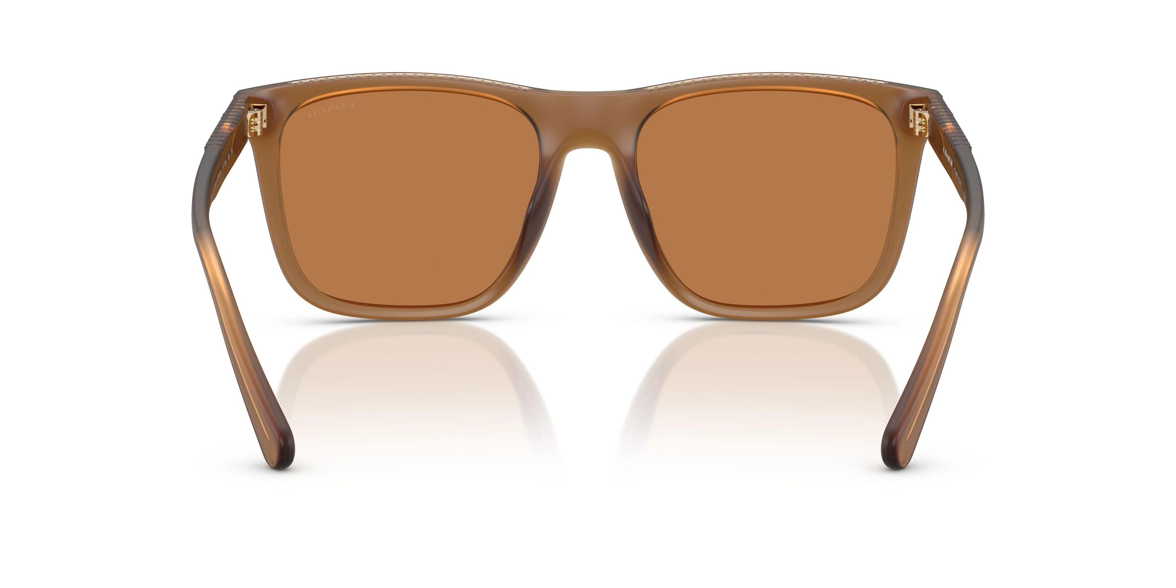 Coach Cae78 8427U Sunglasses - Image 7