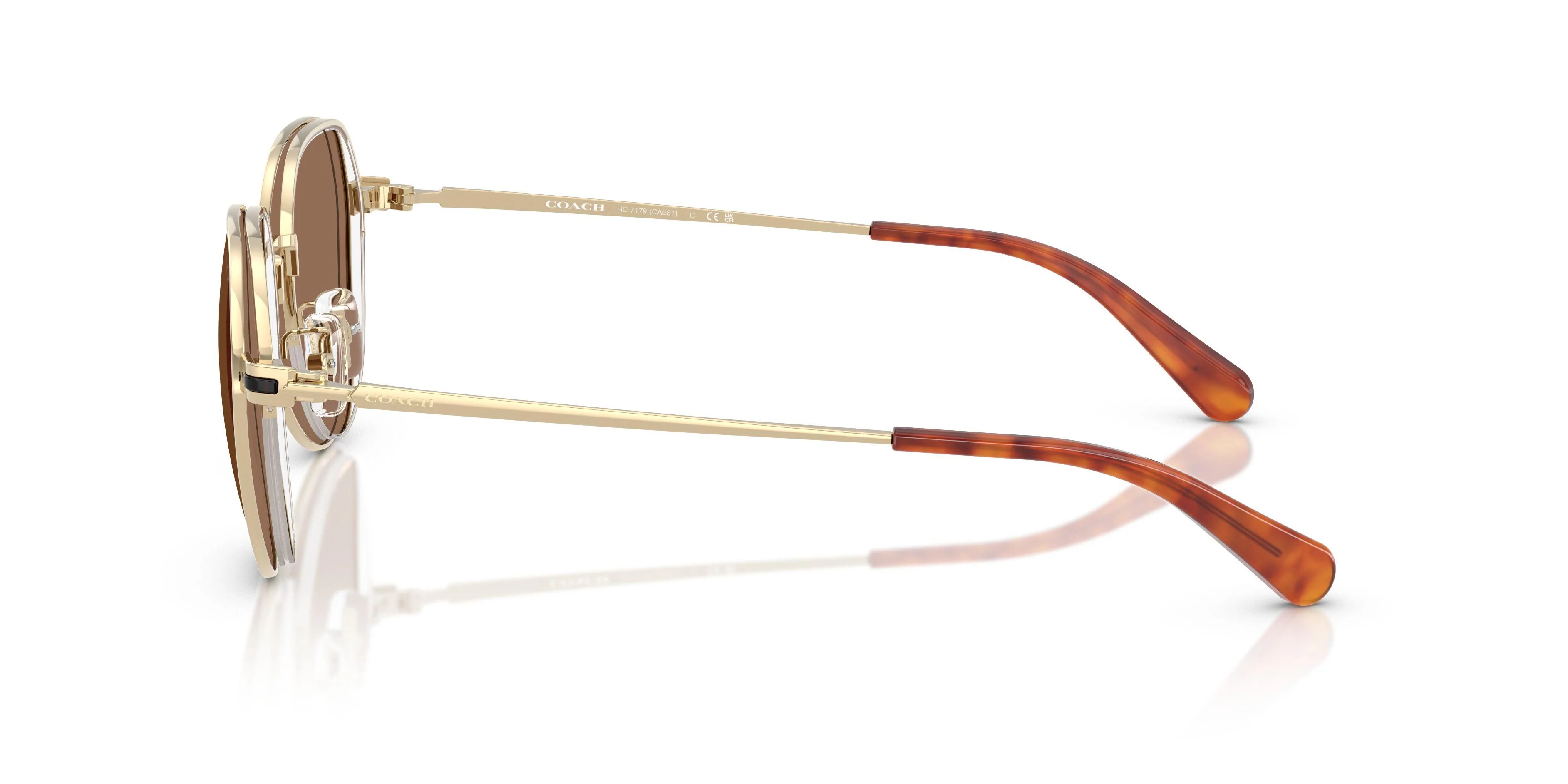 Coach Cae81 7179 Sunglasses - Image 15