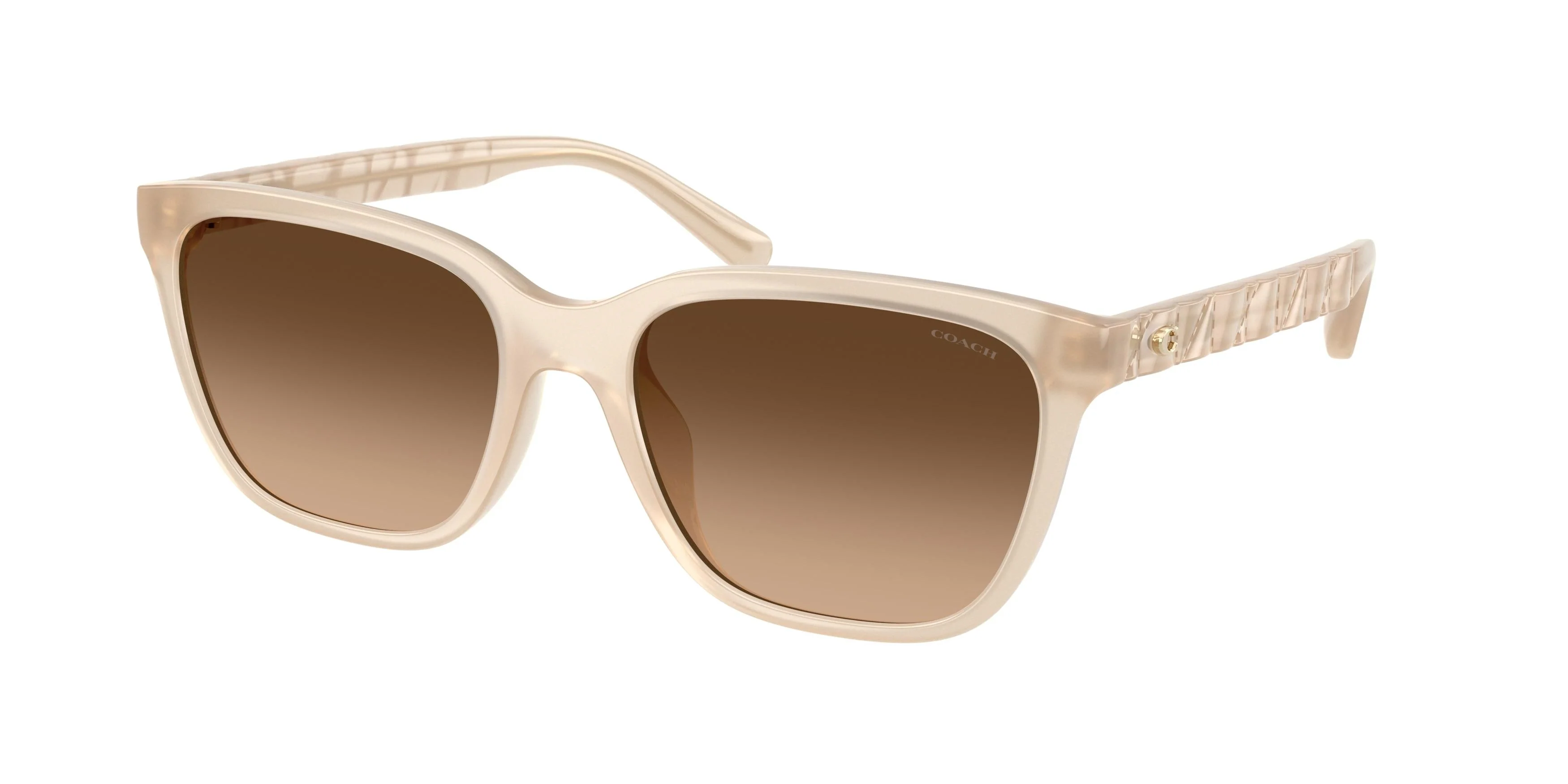 Coach Cae86 8429D Sunglasses