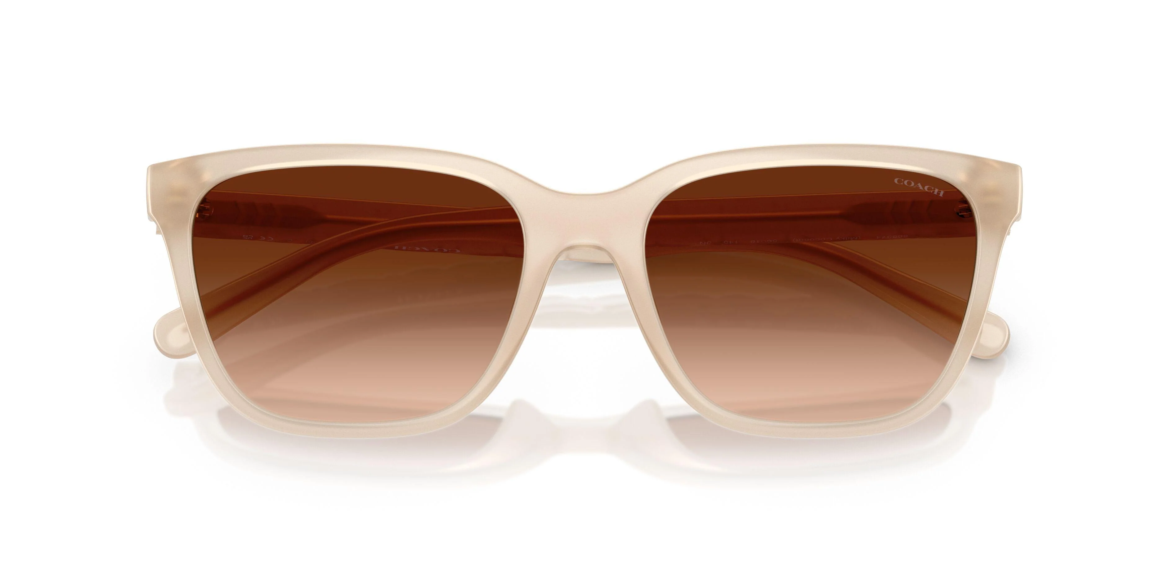 Coach Cae86 8429D Sunglasses - Image 10