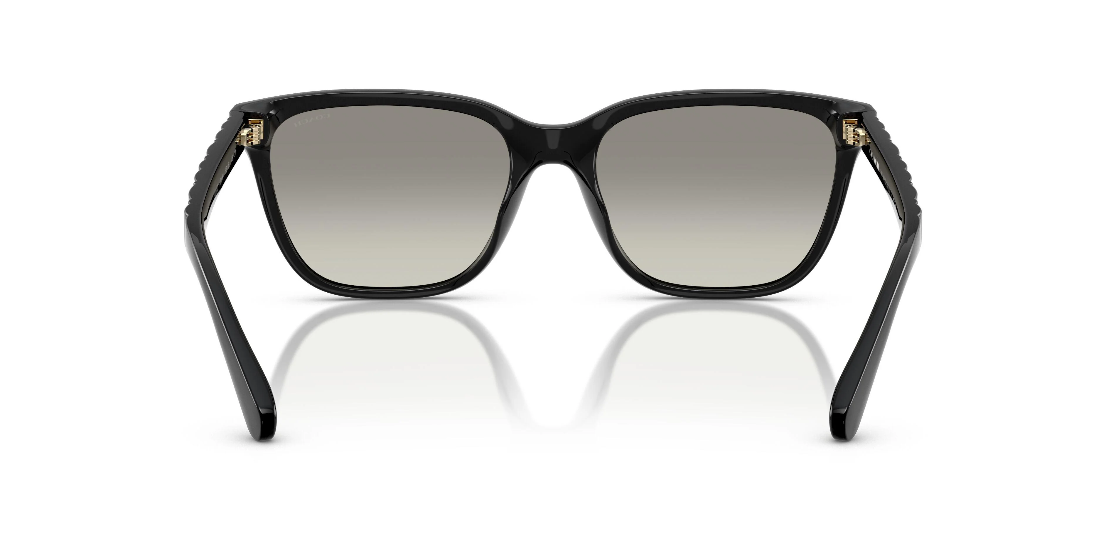 Coach Cae86 8429D Sunglasses - Image 13
