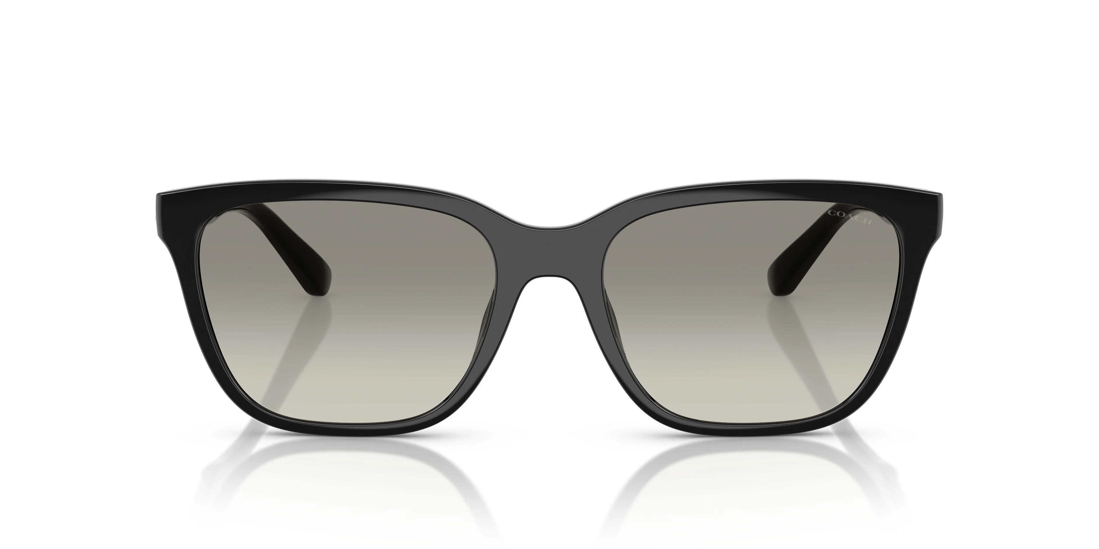 Coach Cae86 8429D Sunglasses - Image 14