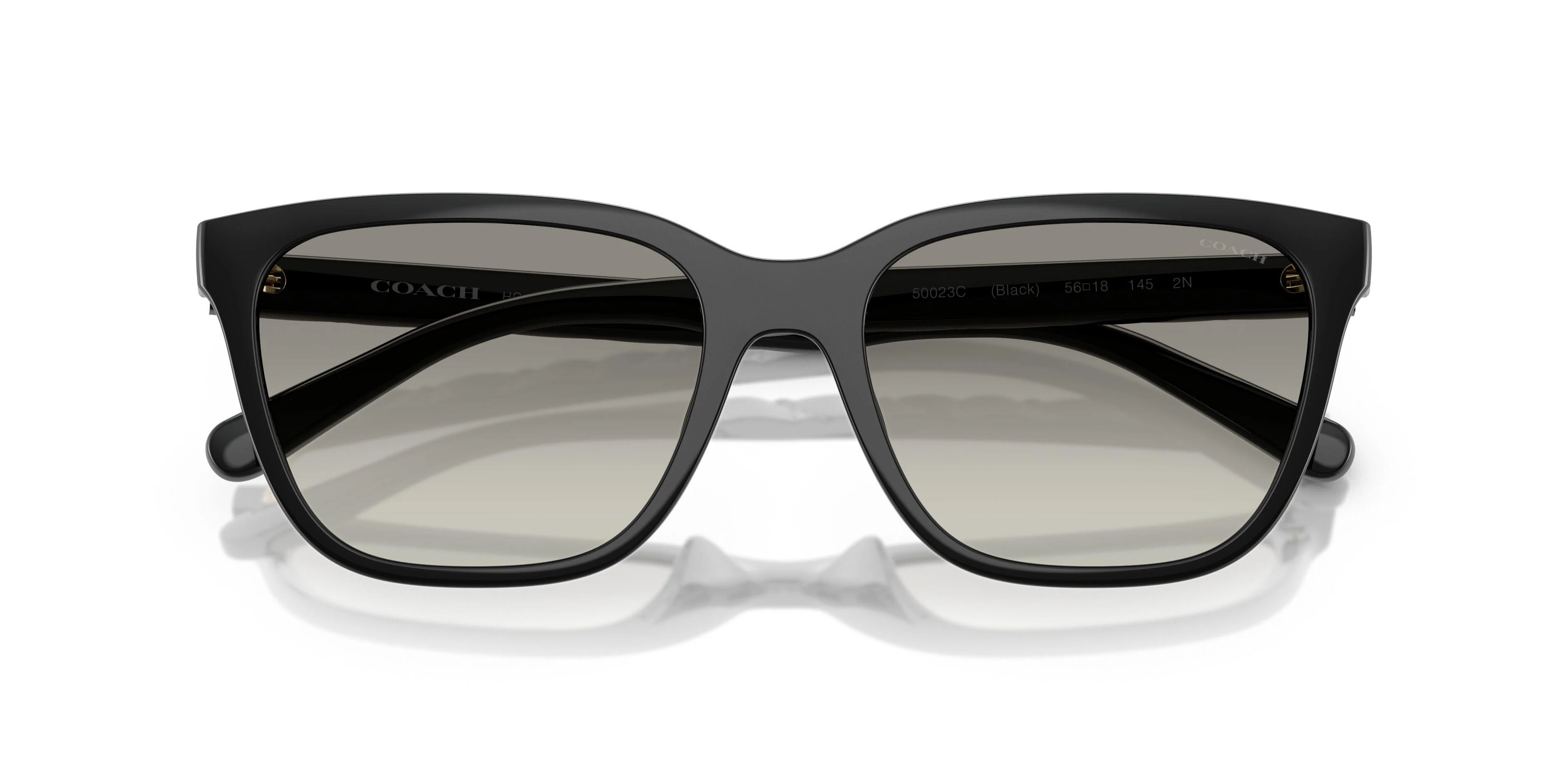 Coach Cae86 8429D Sunglasses - Image 15