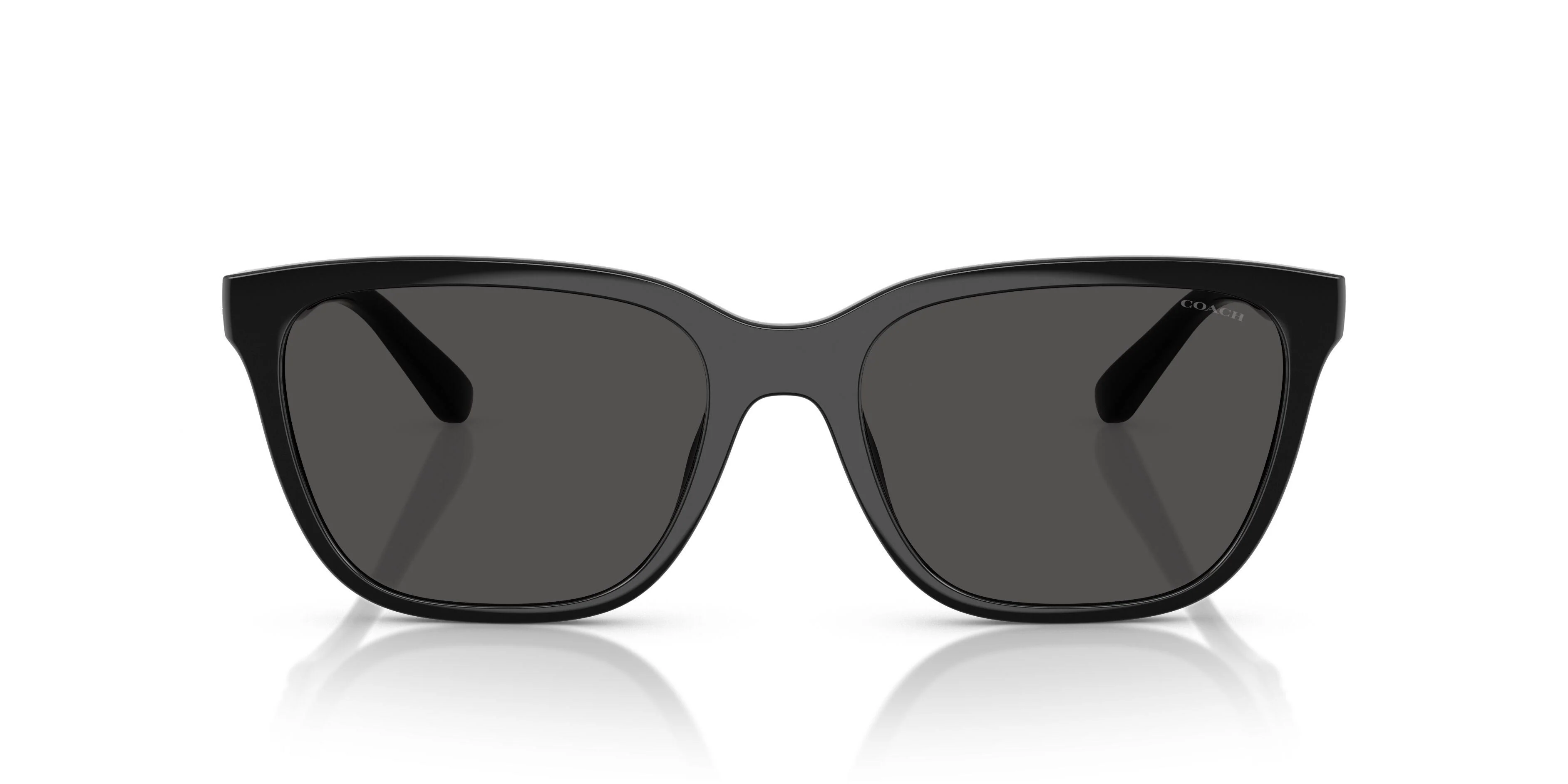 Coach Cae86 8429D Sunglasses - Image 19