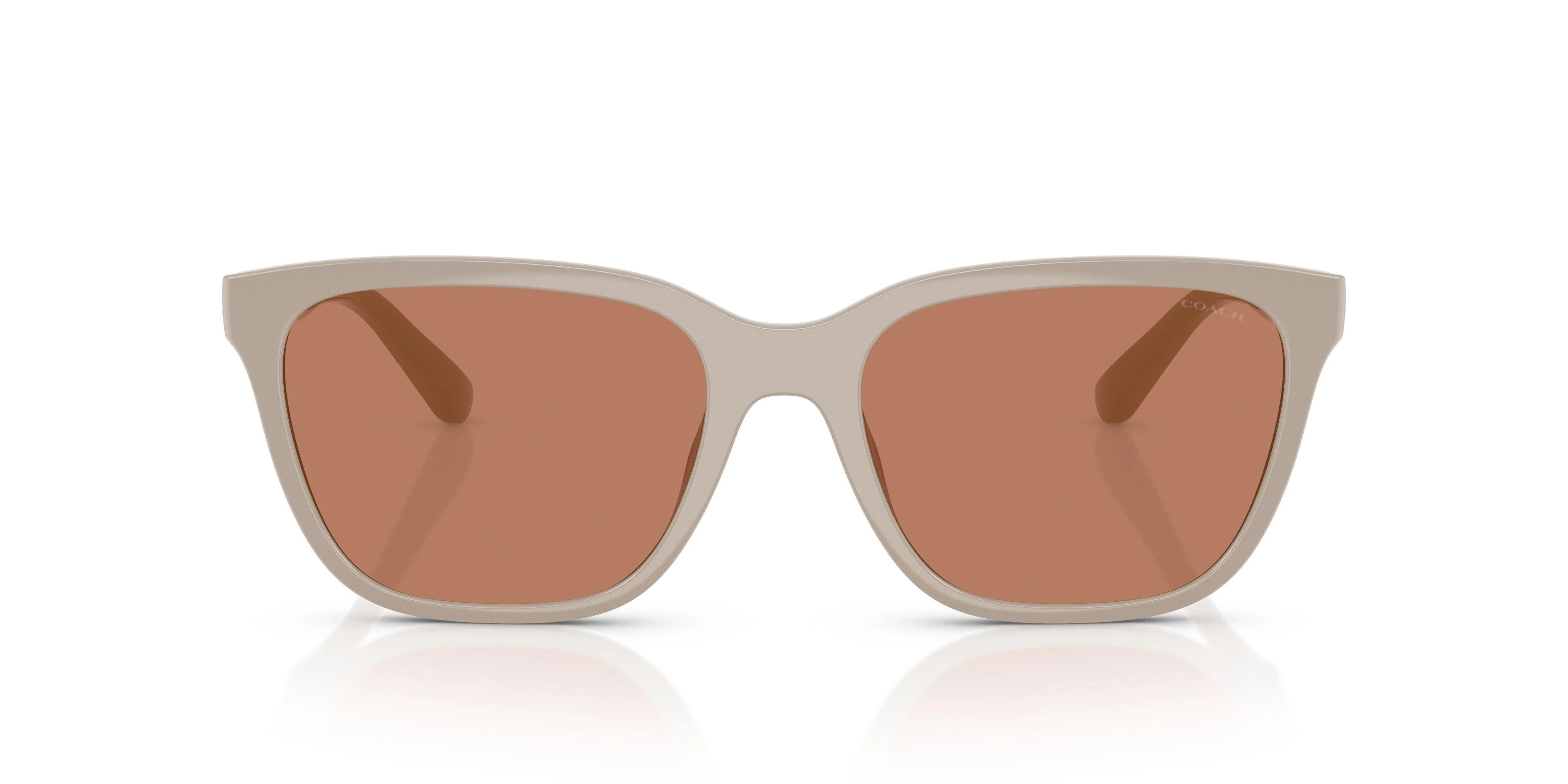Coach Cae86 8429D Sunglasses - Image 24