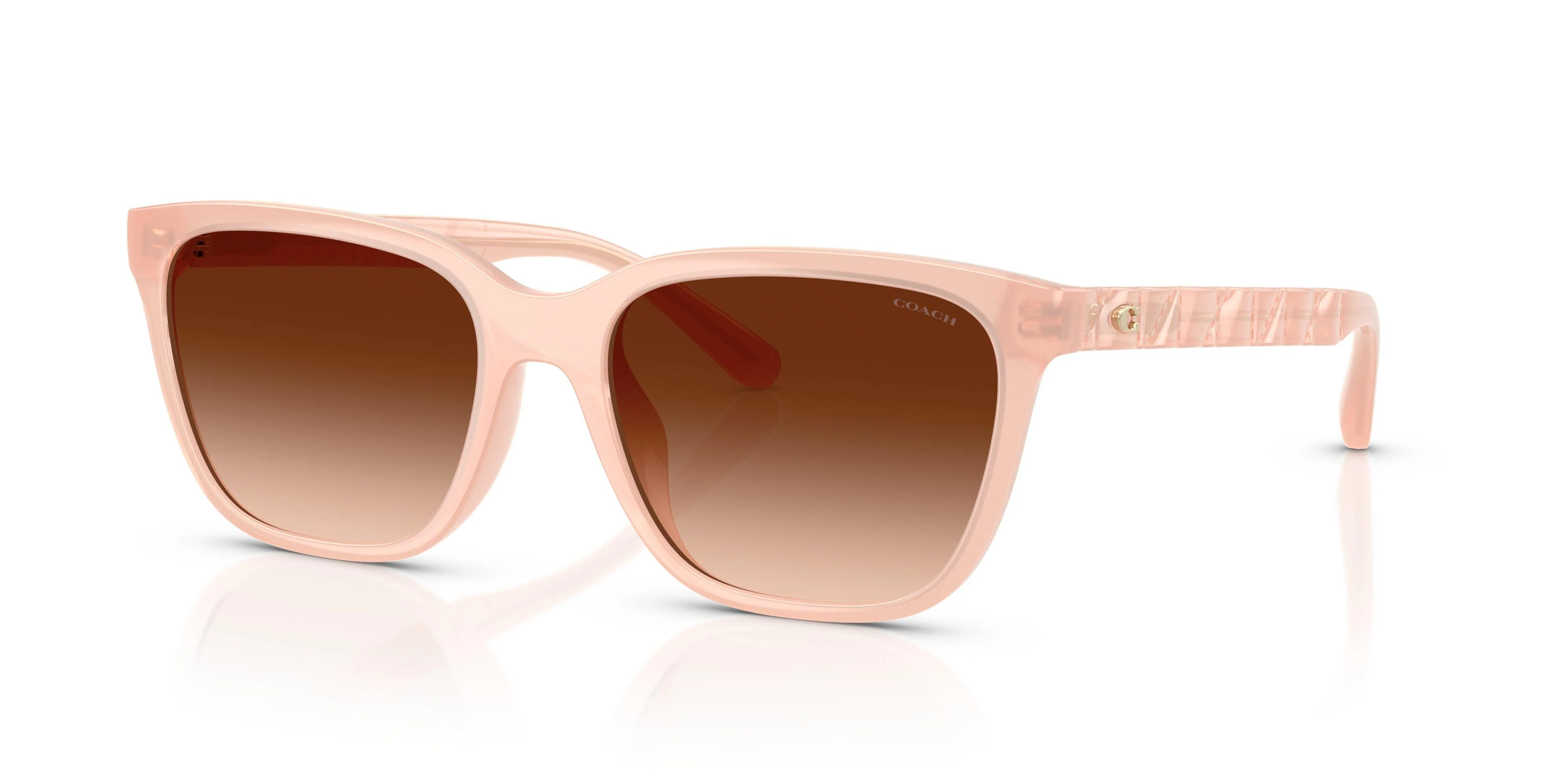 Coach Cae86 8429D Sunglasses - Image 26