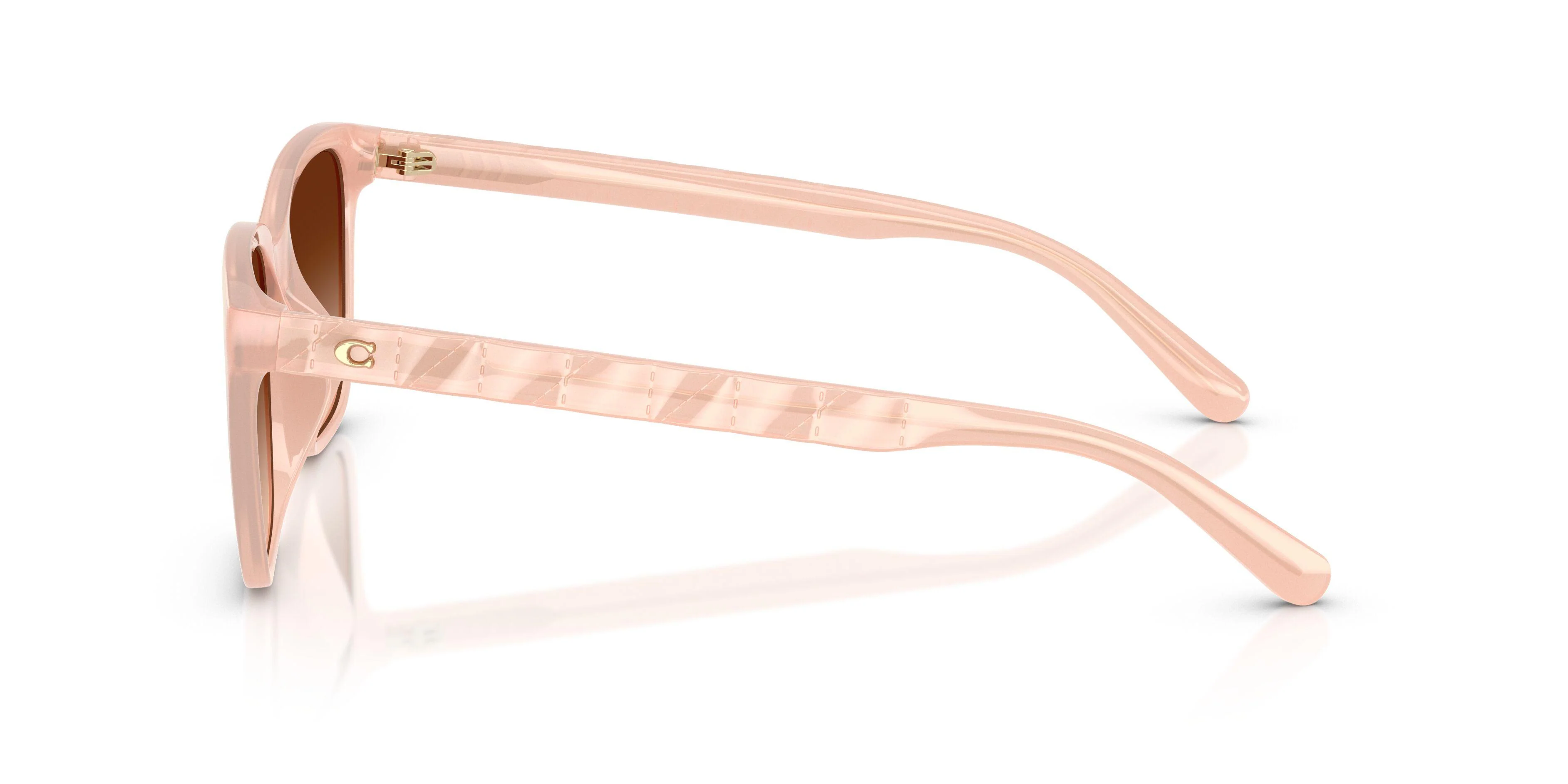 Coach Cae86 8429D Sunglasses - Image 27