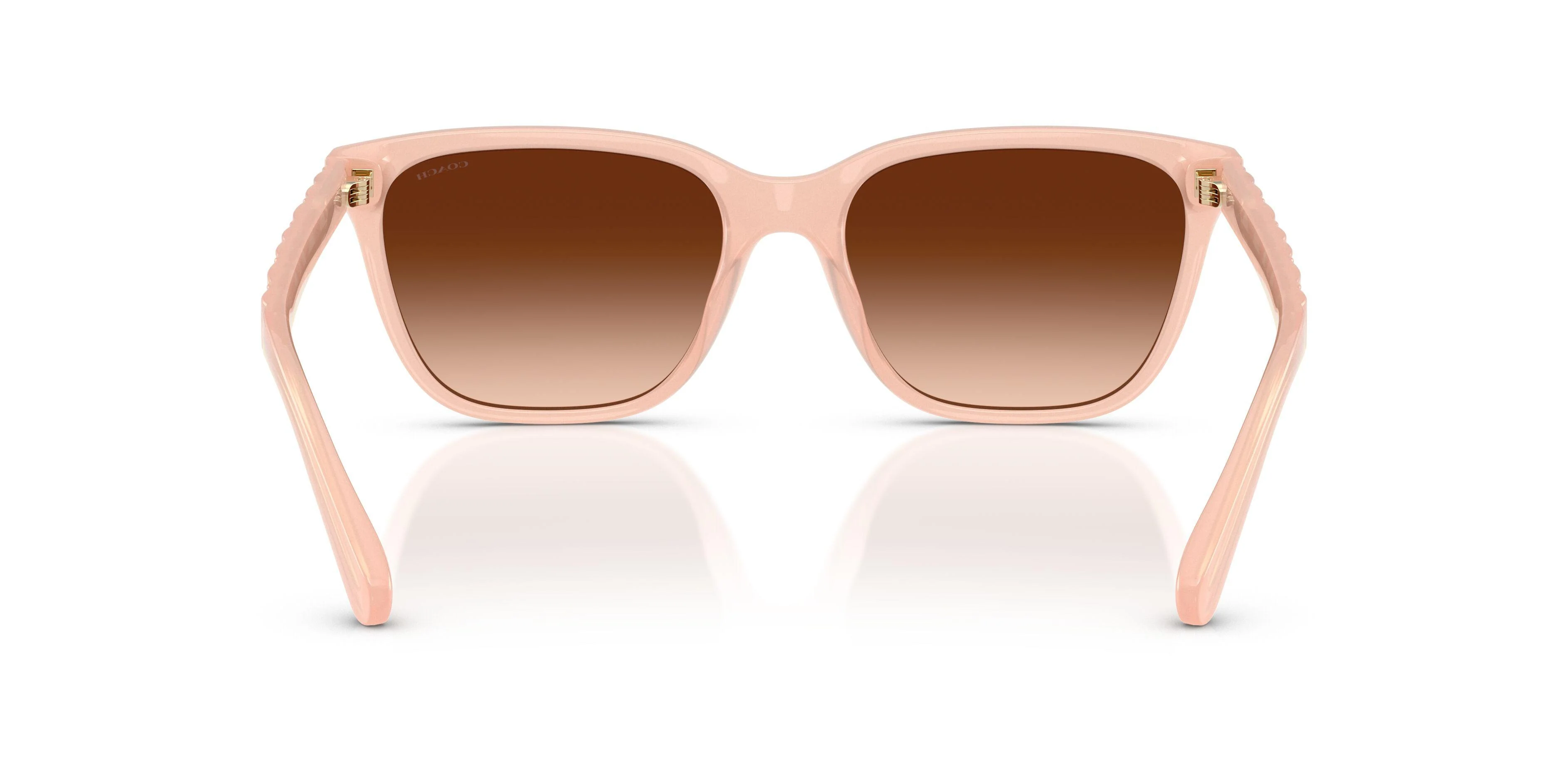 Coach Cae86 8429D Sunglasses - Image 28